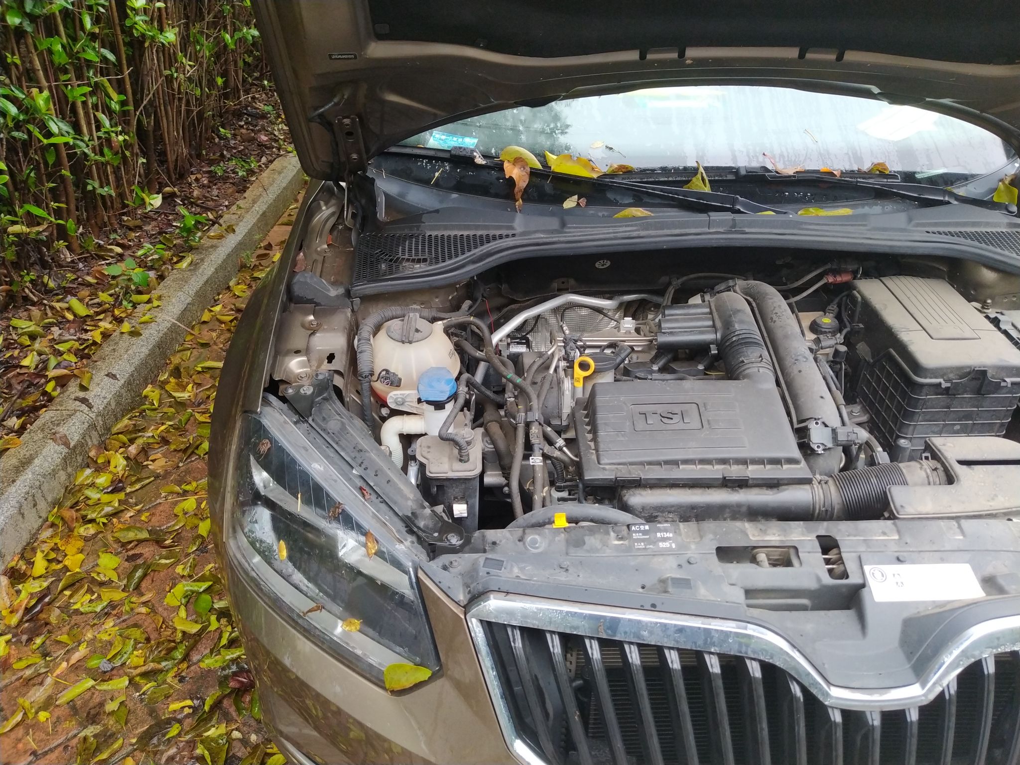 斯柯达野帝 2017款 1.4t 自动 前驱 280tsi前行版 (国Ⅴ)