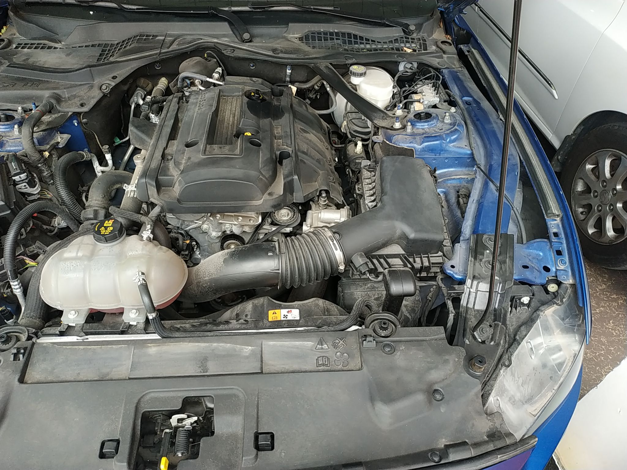 福特 野马 2018款 2.3L EcoBoost(进口)