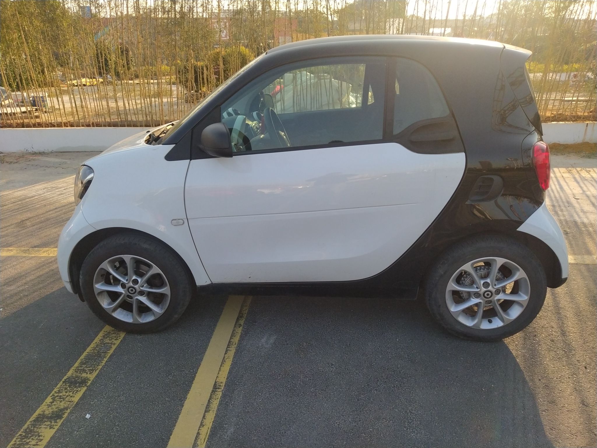 SmartForTwo [进口] 2015款 1.0L 自动 汽油 灵动版 