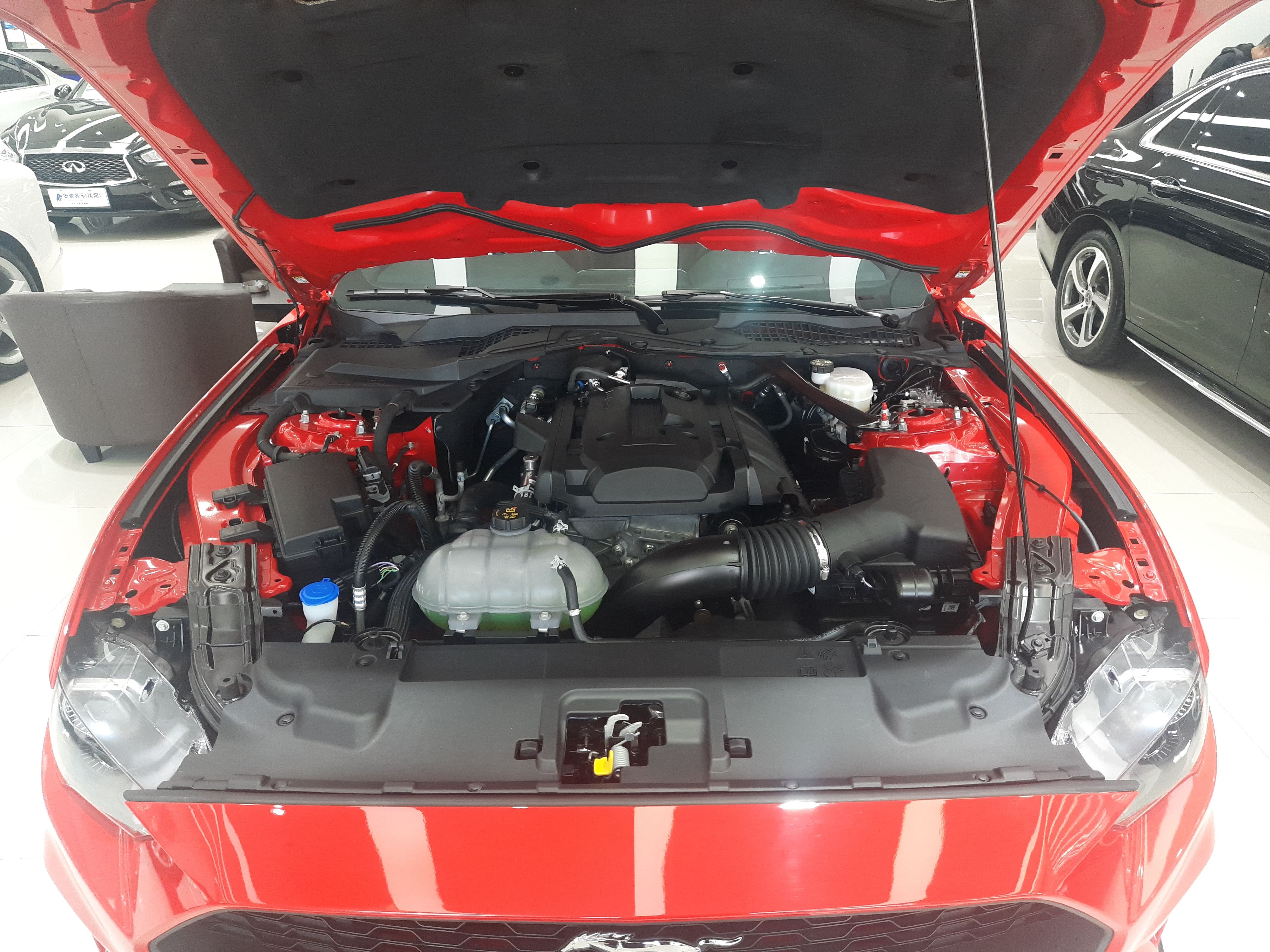 福特 野马 2020款 2.3L EcoBoost