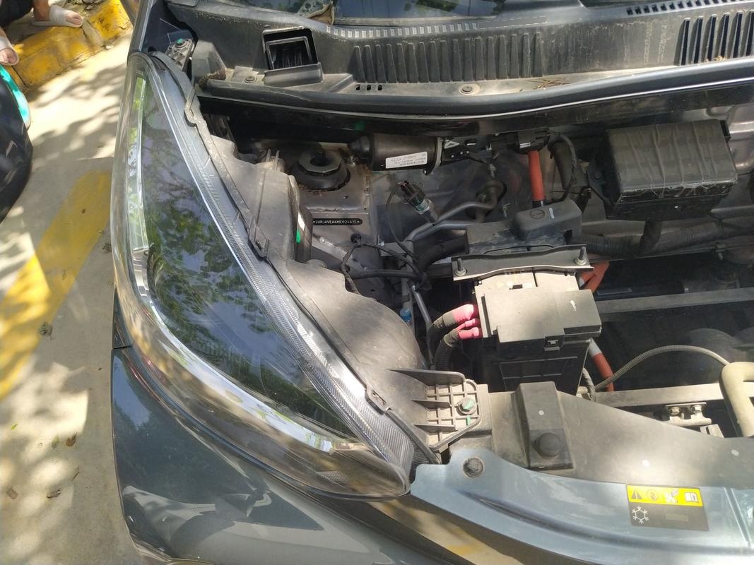 奇瑞 小蚂蚁 2021款 20万蚁粉款 元气版 三元锂 301km