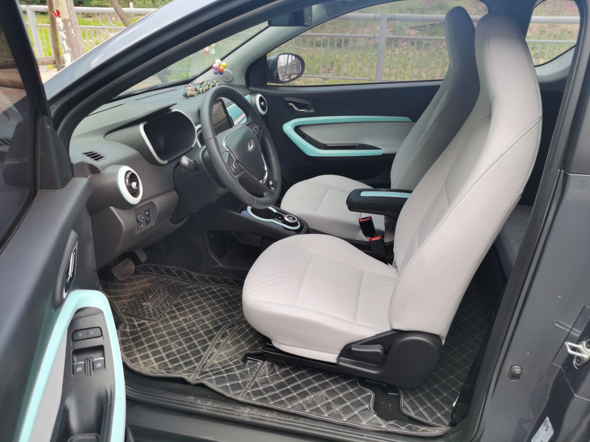 奇瑞 小蚂蚁 2021款 20万蚁粉款 元气版 三元锂 301km