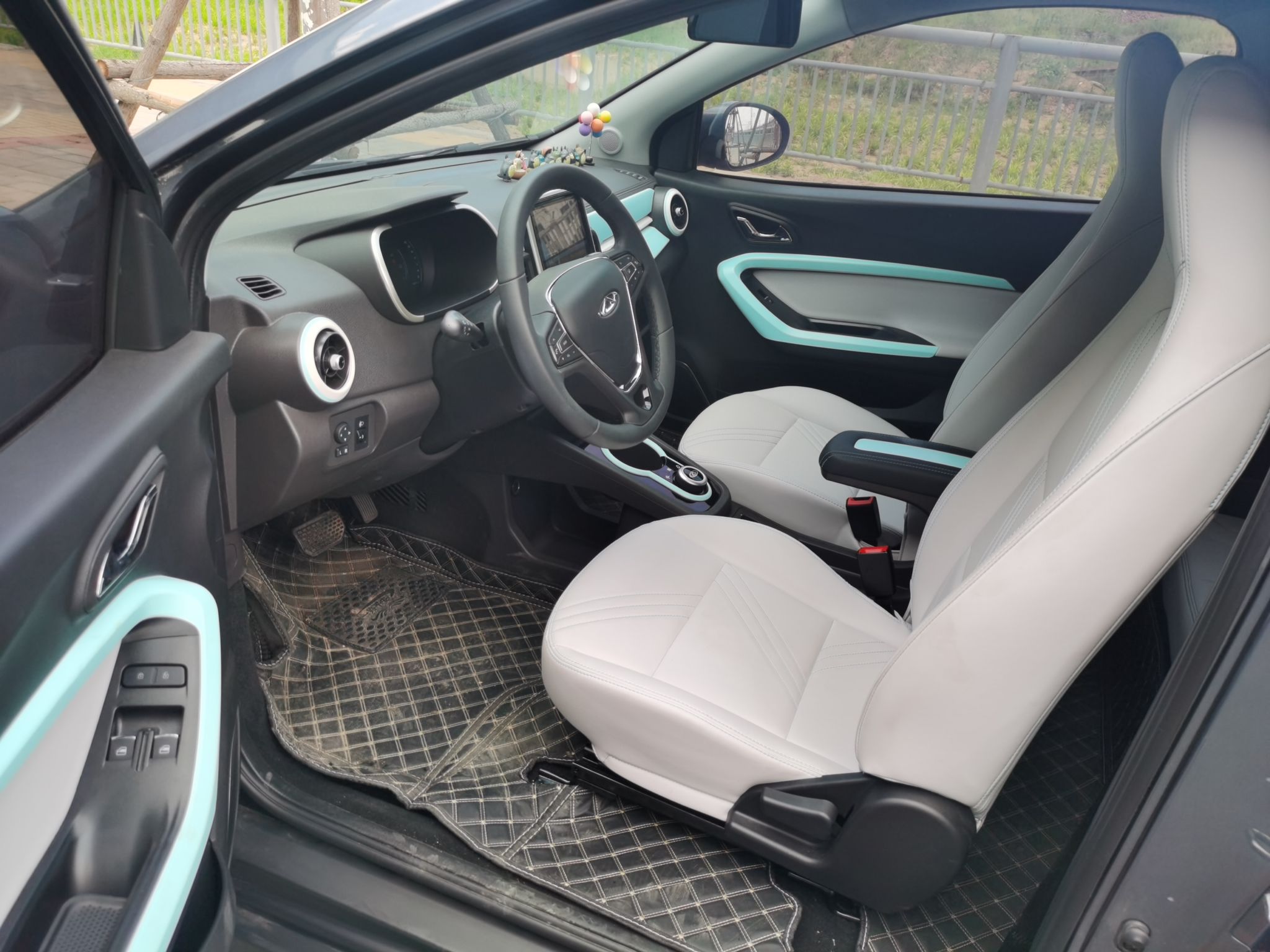 奇瑞 小蚂蚁 2021款 20万蚁粉款 元气版 三元锂 301km