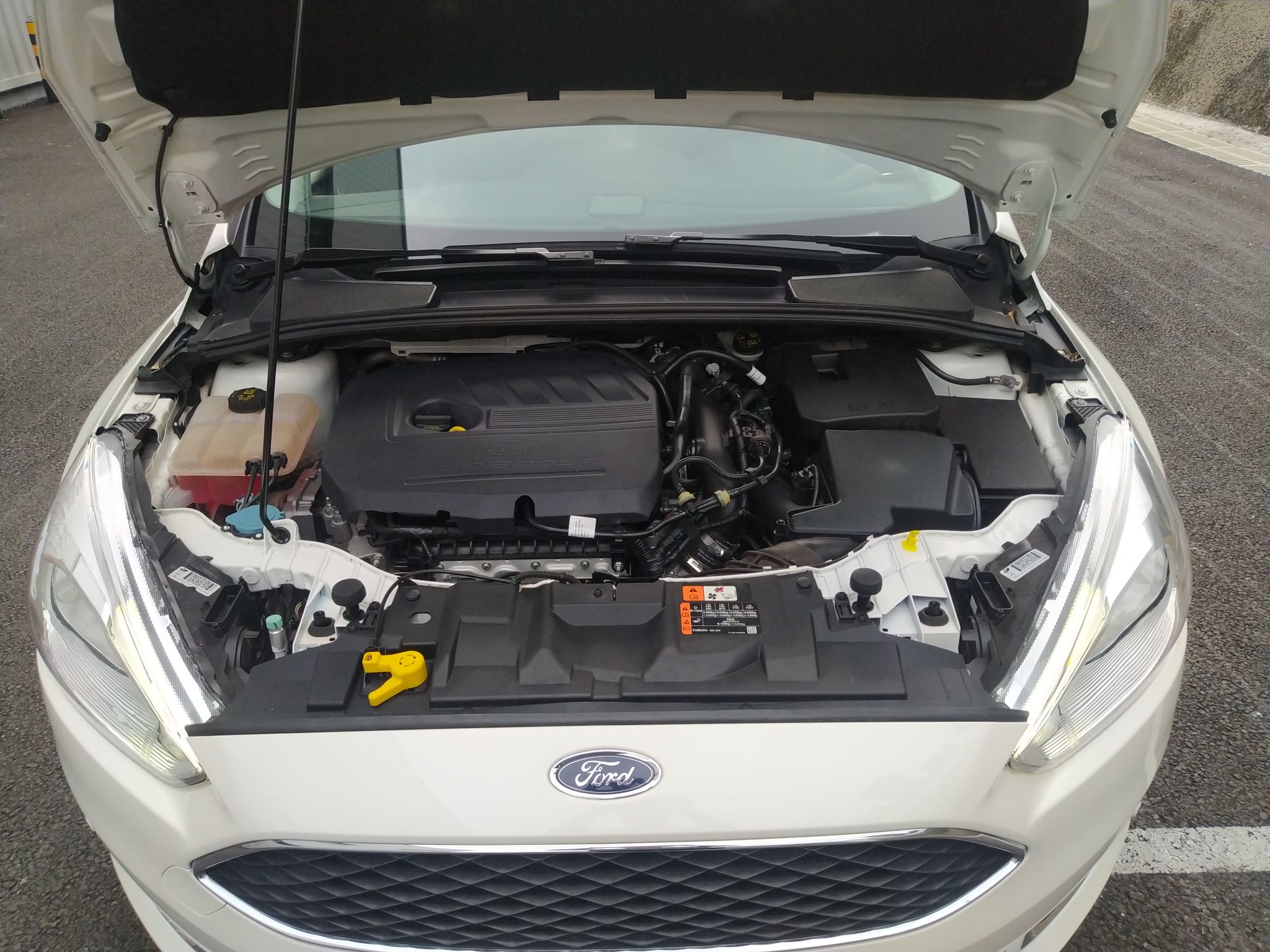 福特 福克斯 2018款 两厢经典 EcoBoost 180 自动精英型