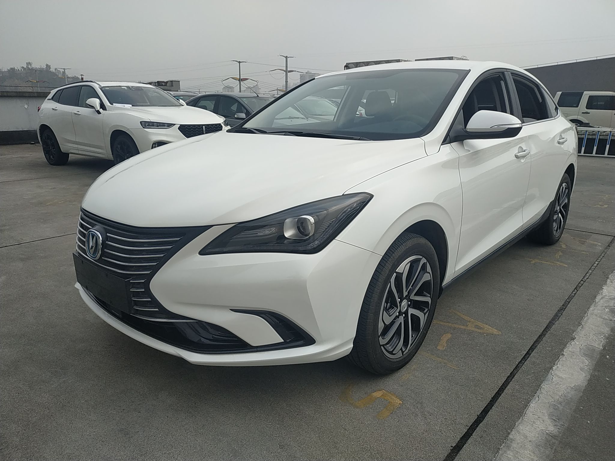 长安 逸动新能源 2019款 EV460 智享版