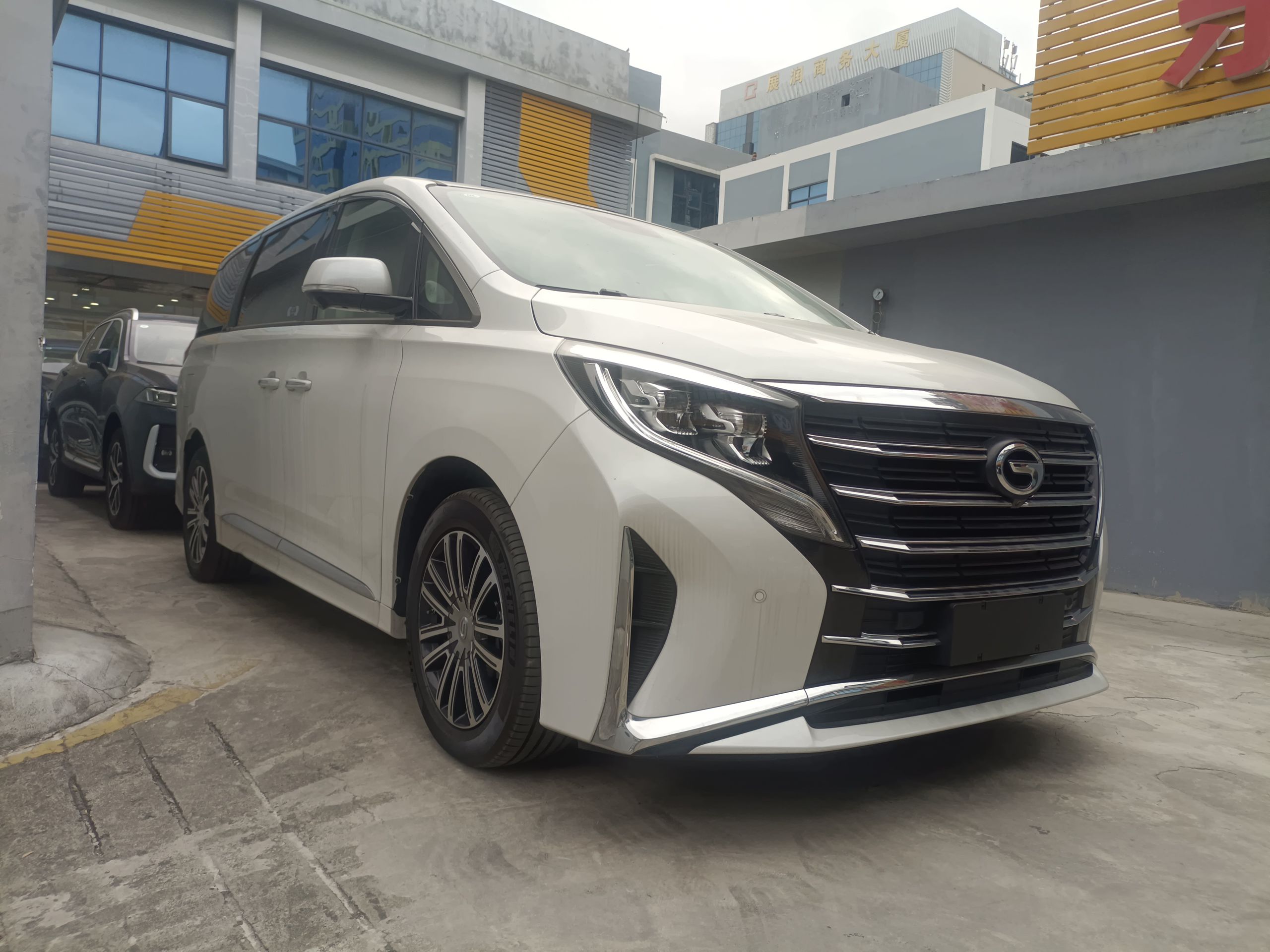 广汽传祺 传祺M8 2023款 领秀系列 390T 尊贵版