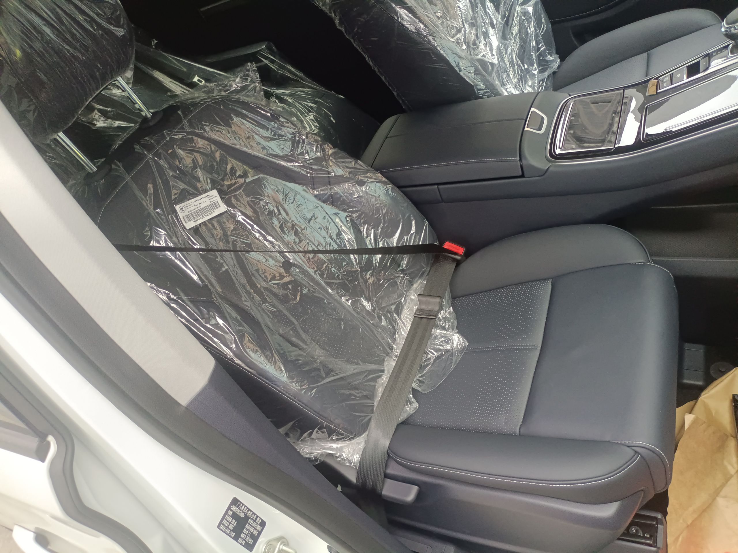 广汽传祺 传祺M8 2023款 领秀系列 390T 尊贵版