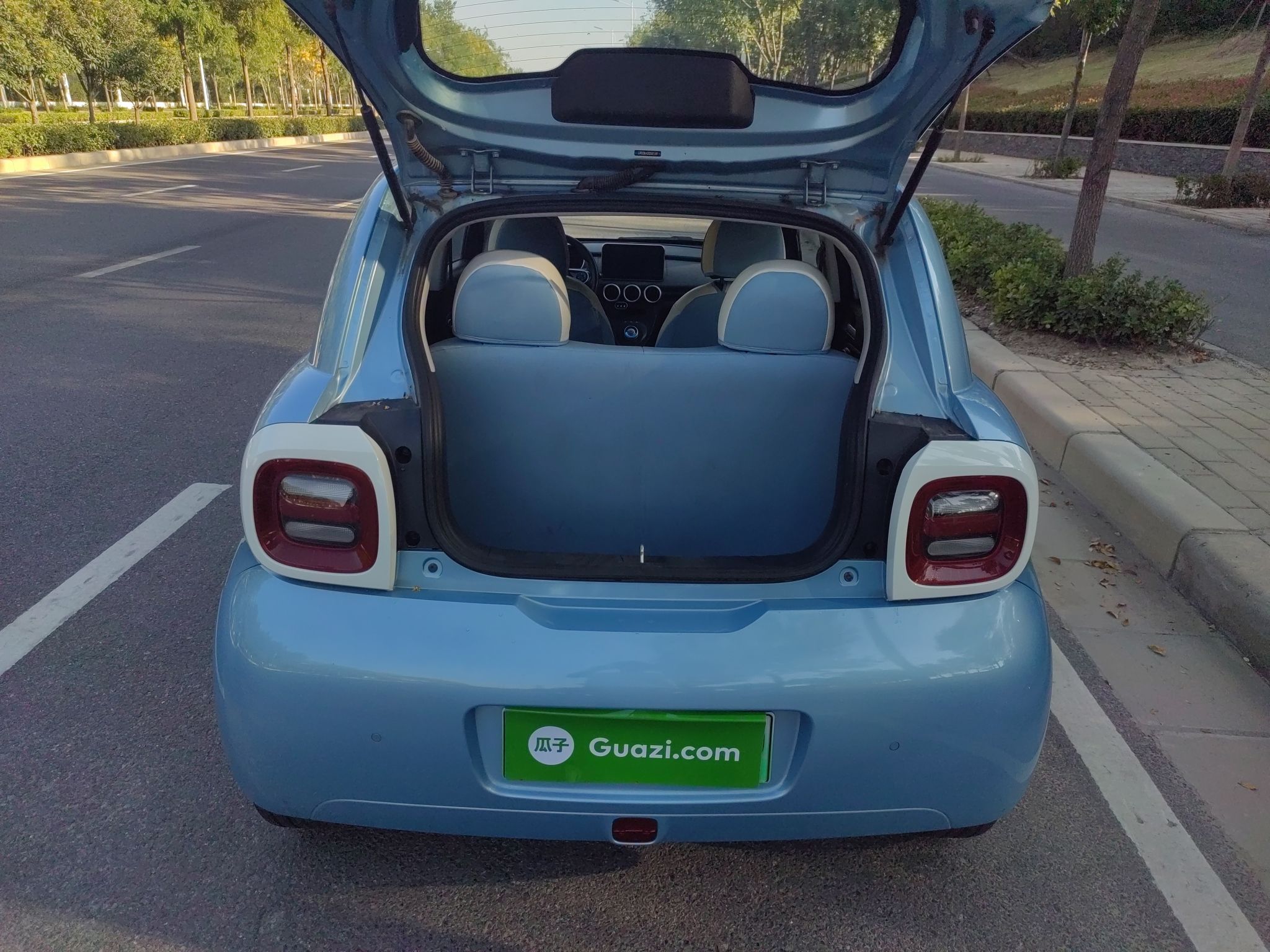 欧拉黑猫 2019款 351km 灵趣版