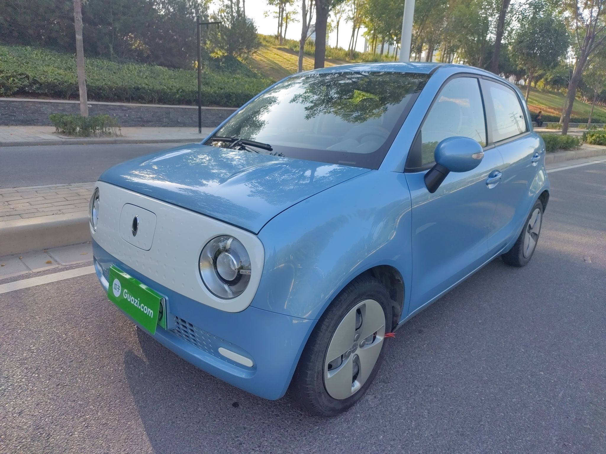 欧拉黑猫 2019款 351km 灵趣版