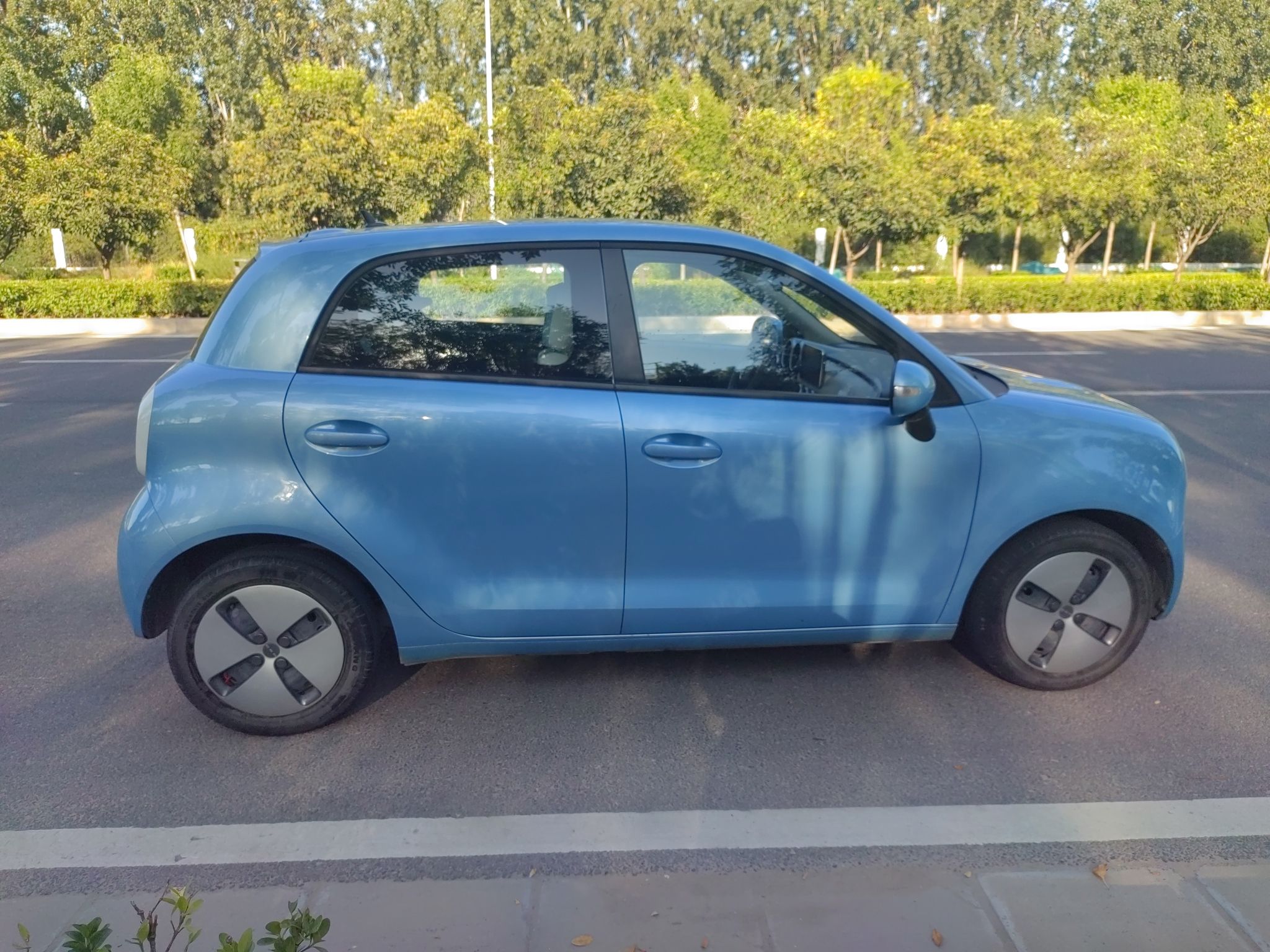 欧拉黑猫 2019款 351km 灵趣版