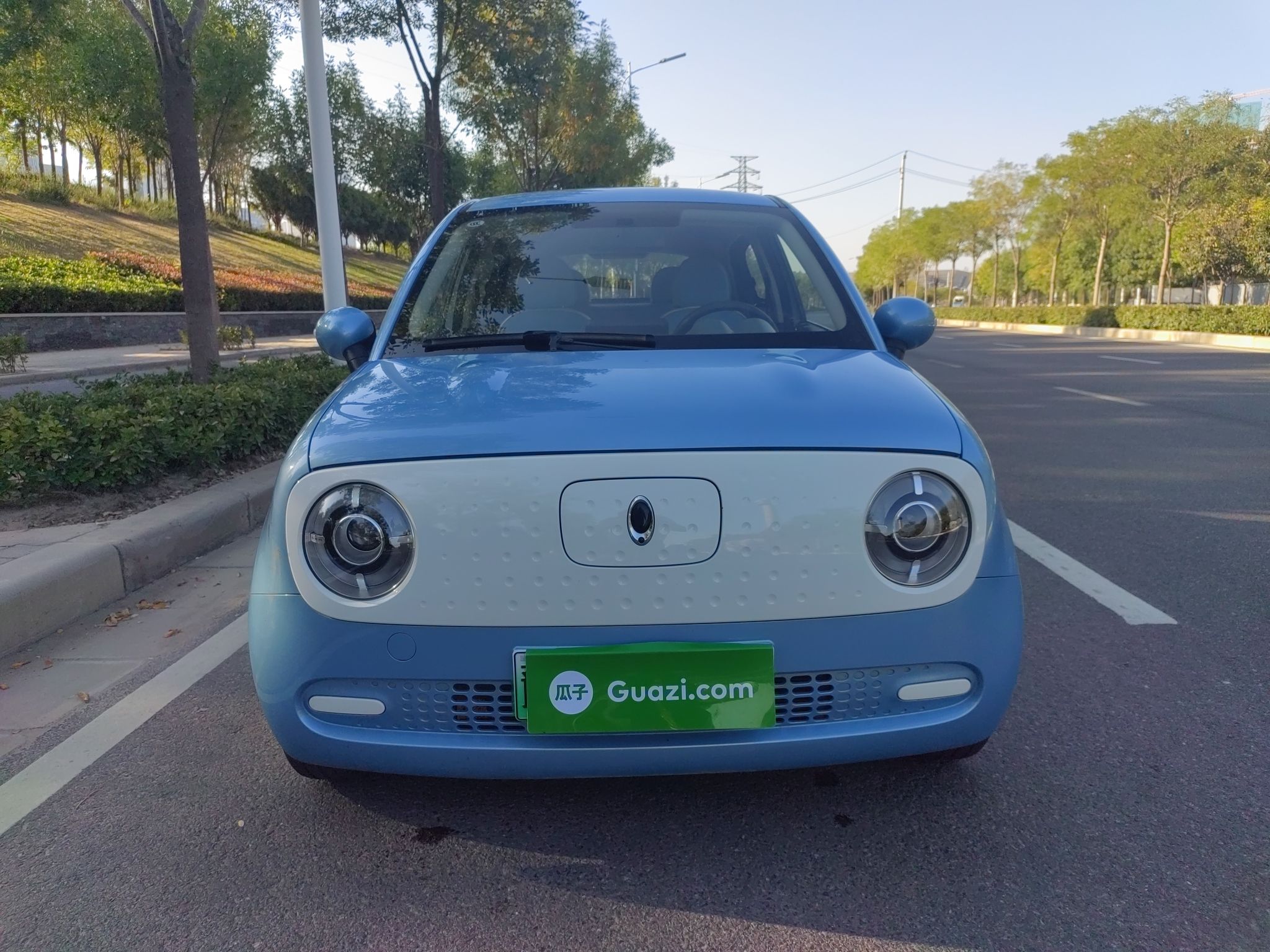 欧拉黑猫 2019款 351km 灵趣版