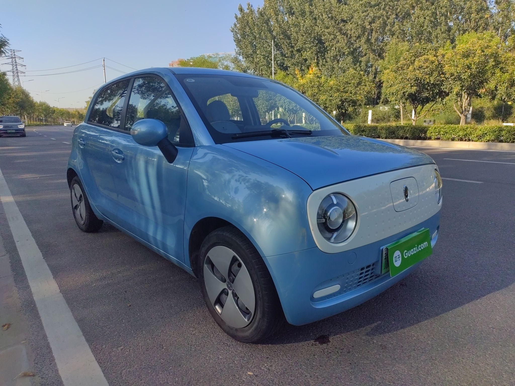 欧拉黑猫 2019款 351km 灵趣版