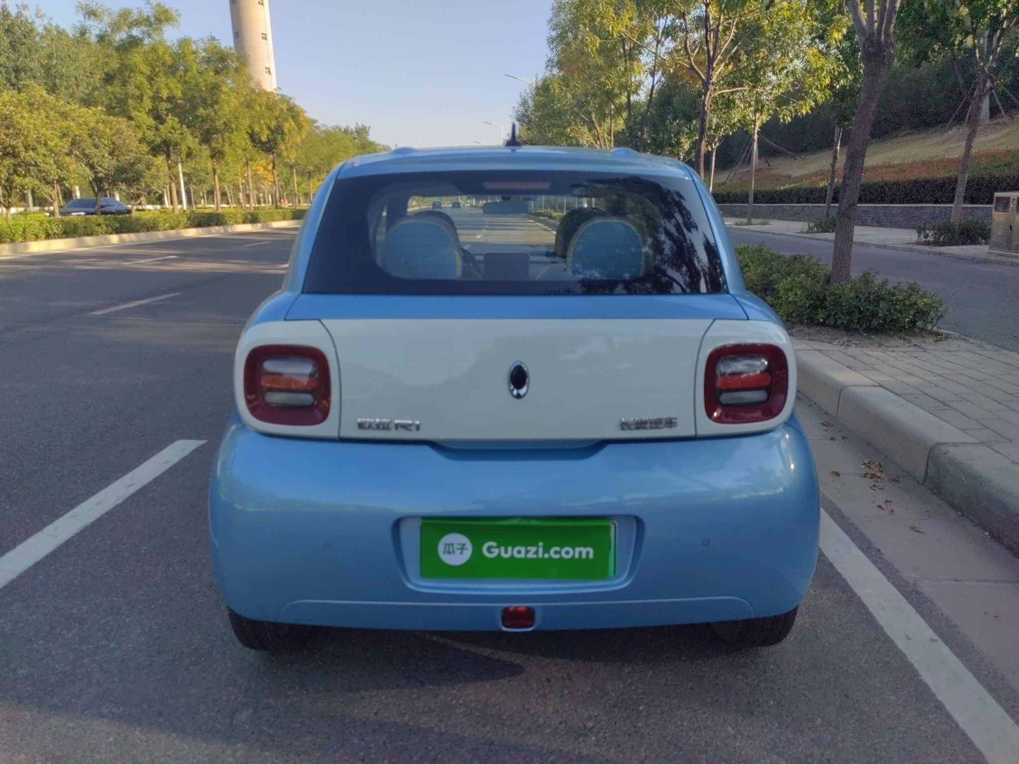 欧拉黑猫 2019款 351km 灵趣版