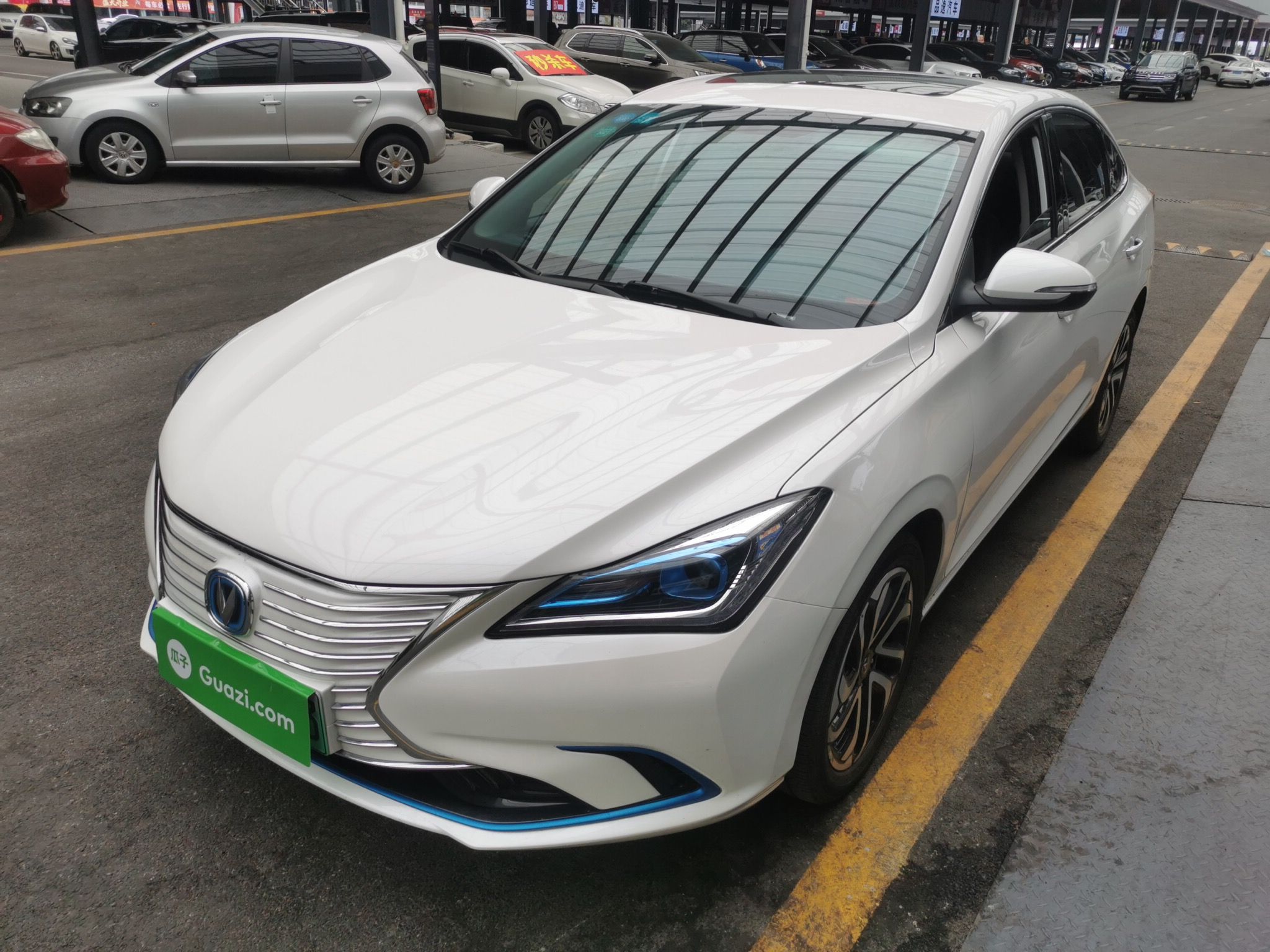 长安 逸动新能源 2019款 EV460 智领版