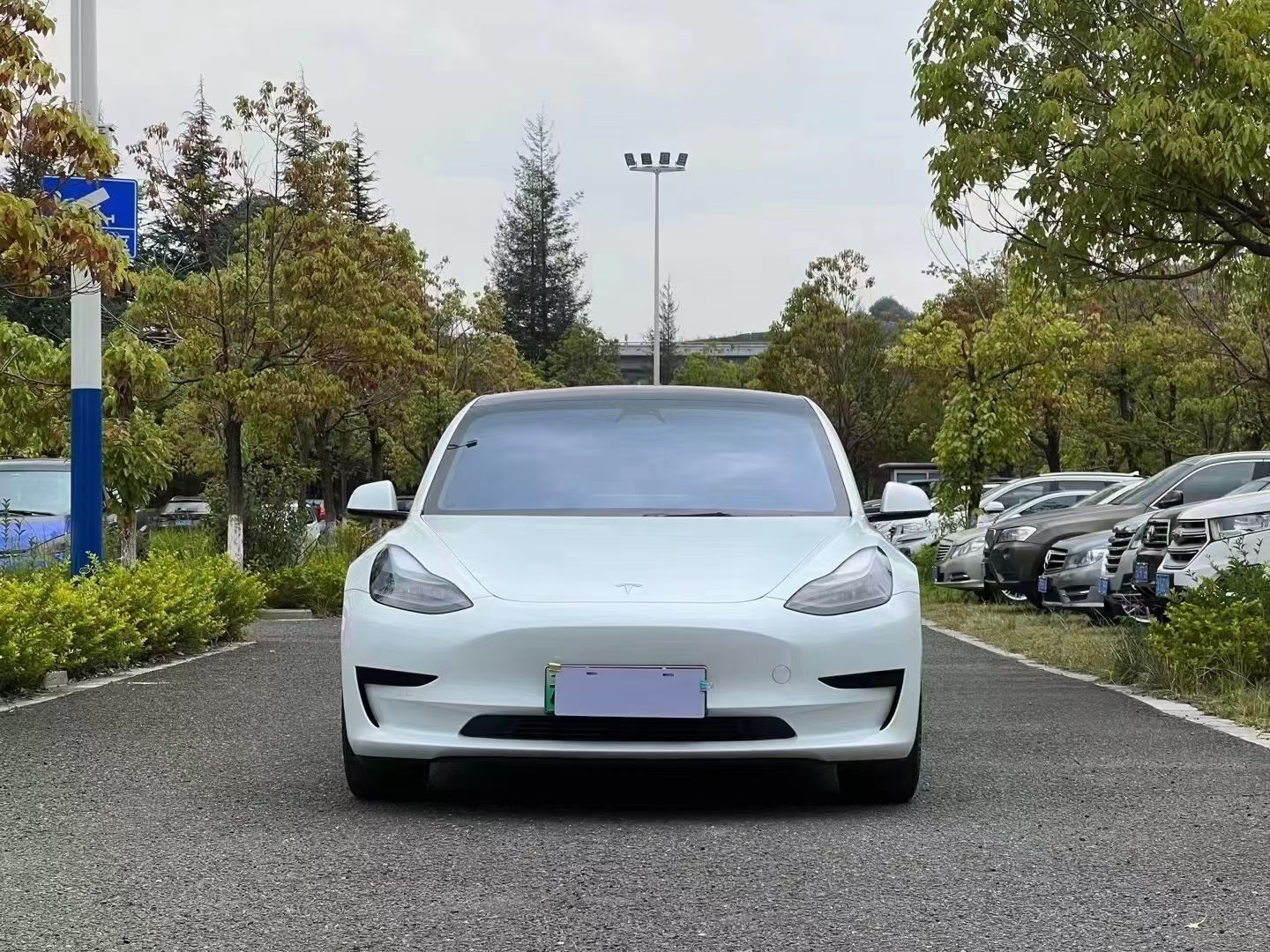 特斯拉 Model 3 2021款 标准续航后驱升级版