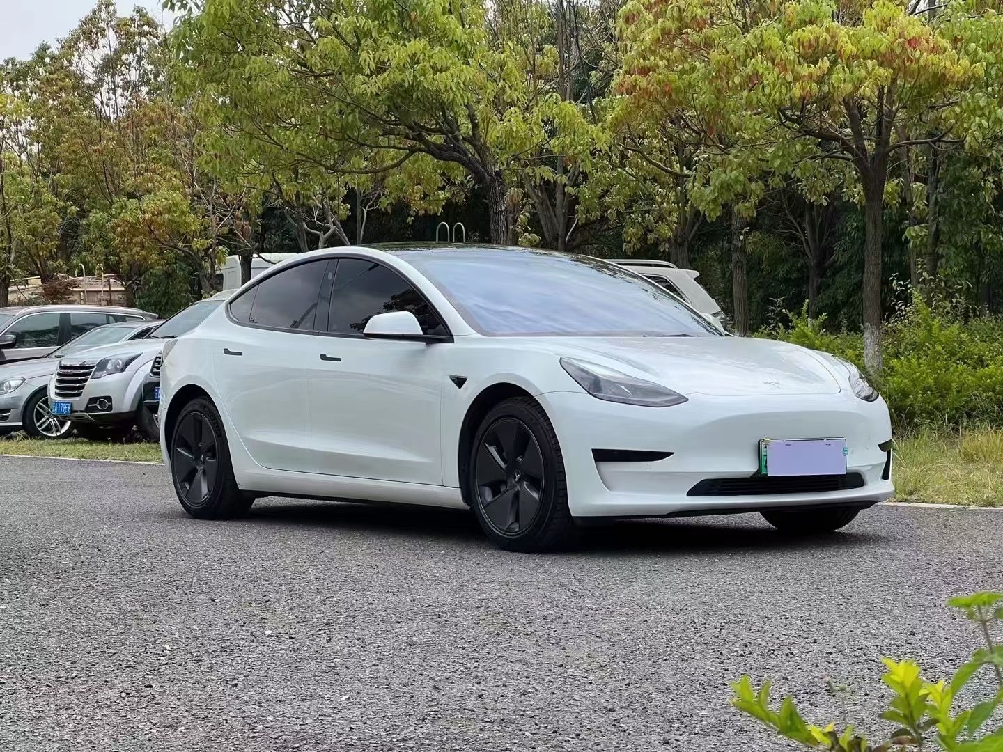 特斯拉 Model 3 2021款 标准续航后驱升级版