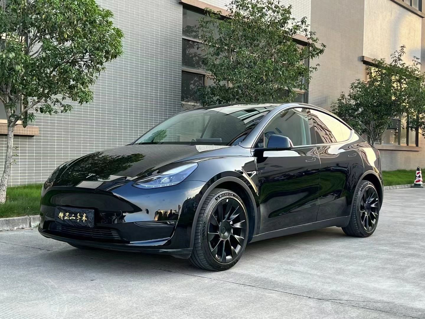 特斯拉 Model Y 2021款 长续航全轮驱动版 3D7