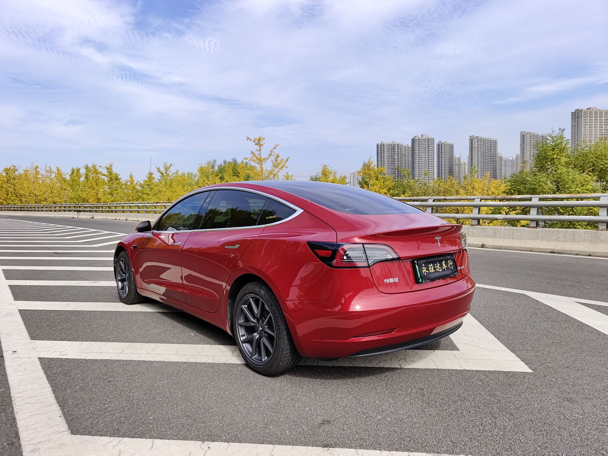 特斯拉 Model 3 2020款 标准续航后驱升级版