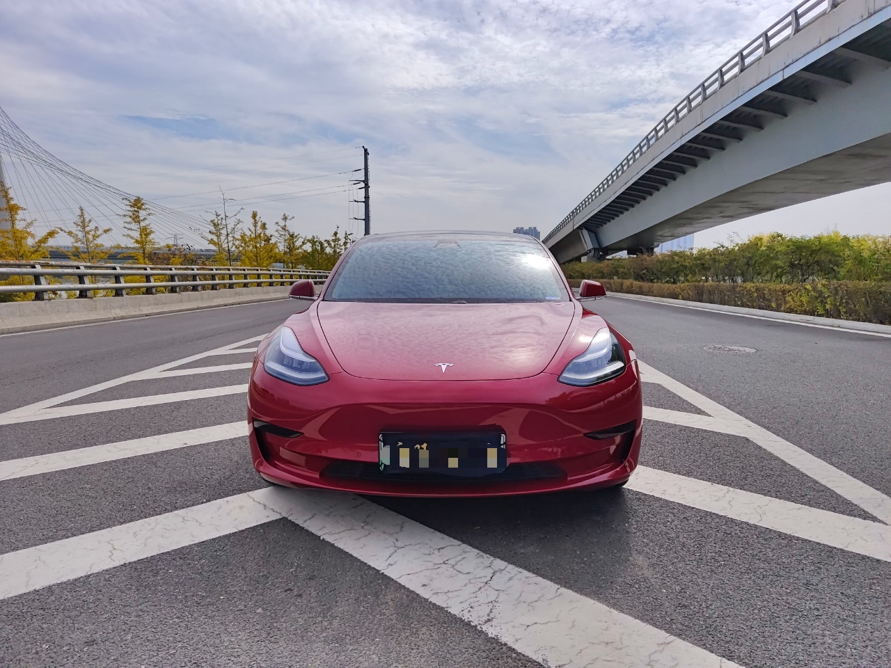 特斯拉 Model 3 2020款 标准续航后驱升级版