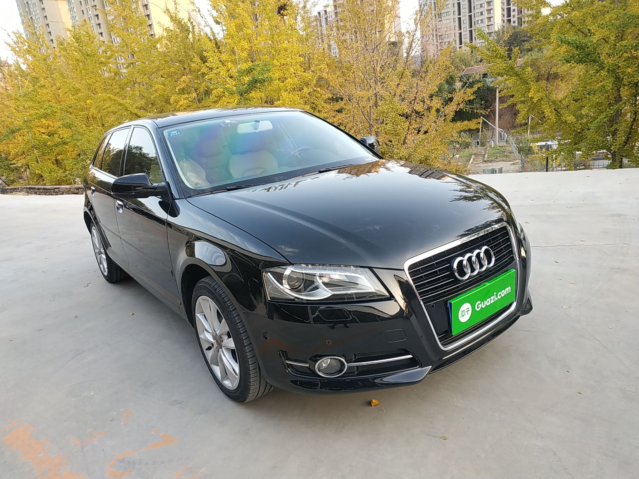 奥迪A3 2010款 Sportback 1.4T 豪华型(进口)