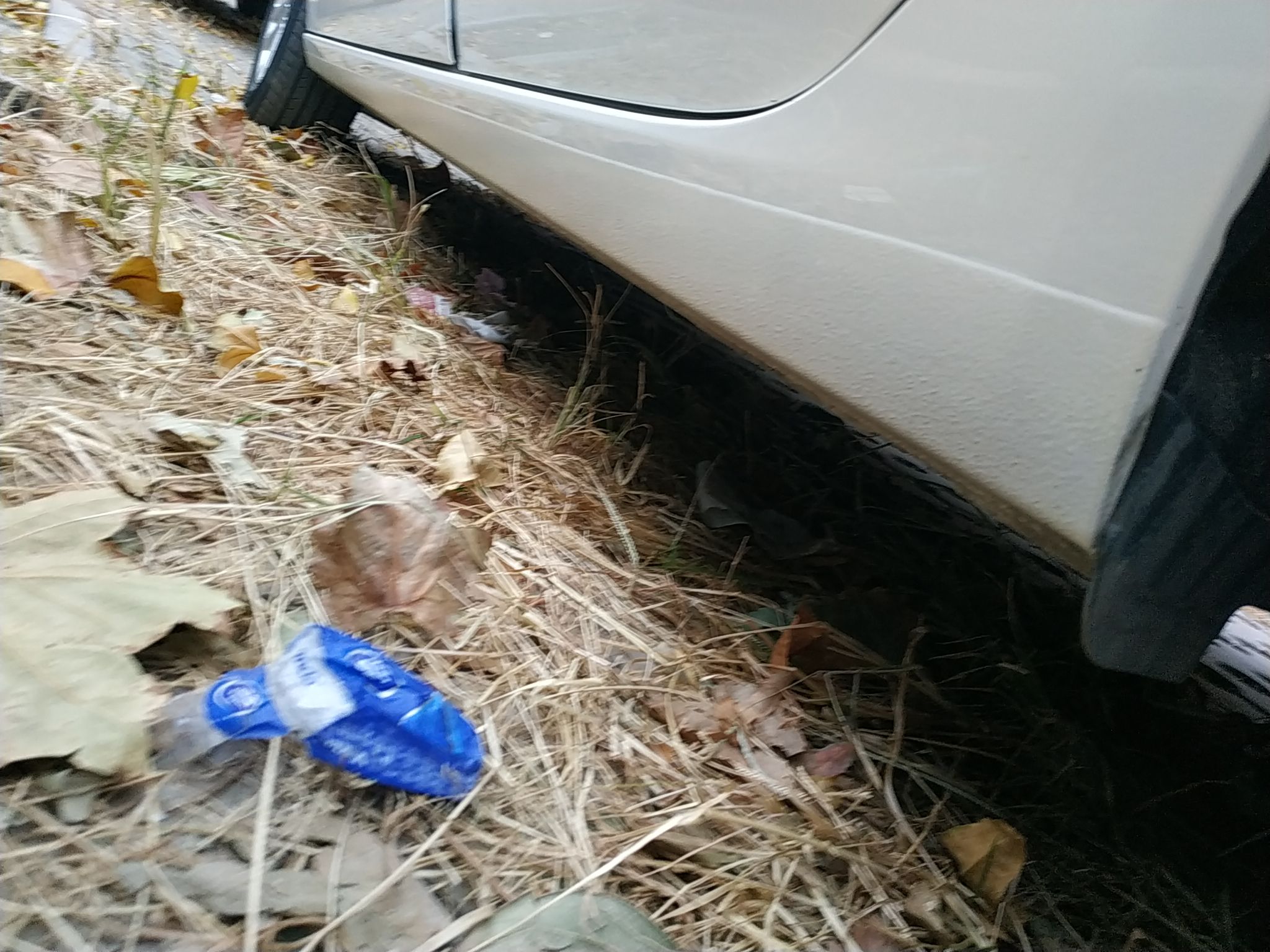 福特 福睿斯 2019款 改款 1.5L 自动质享型（胎压监测） 国VI