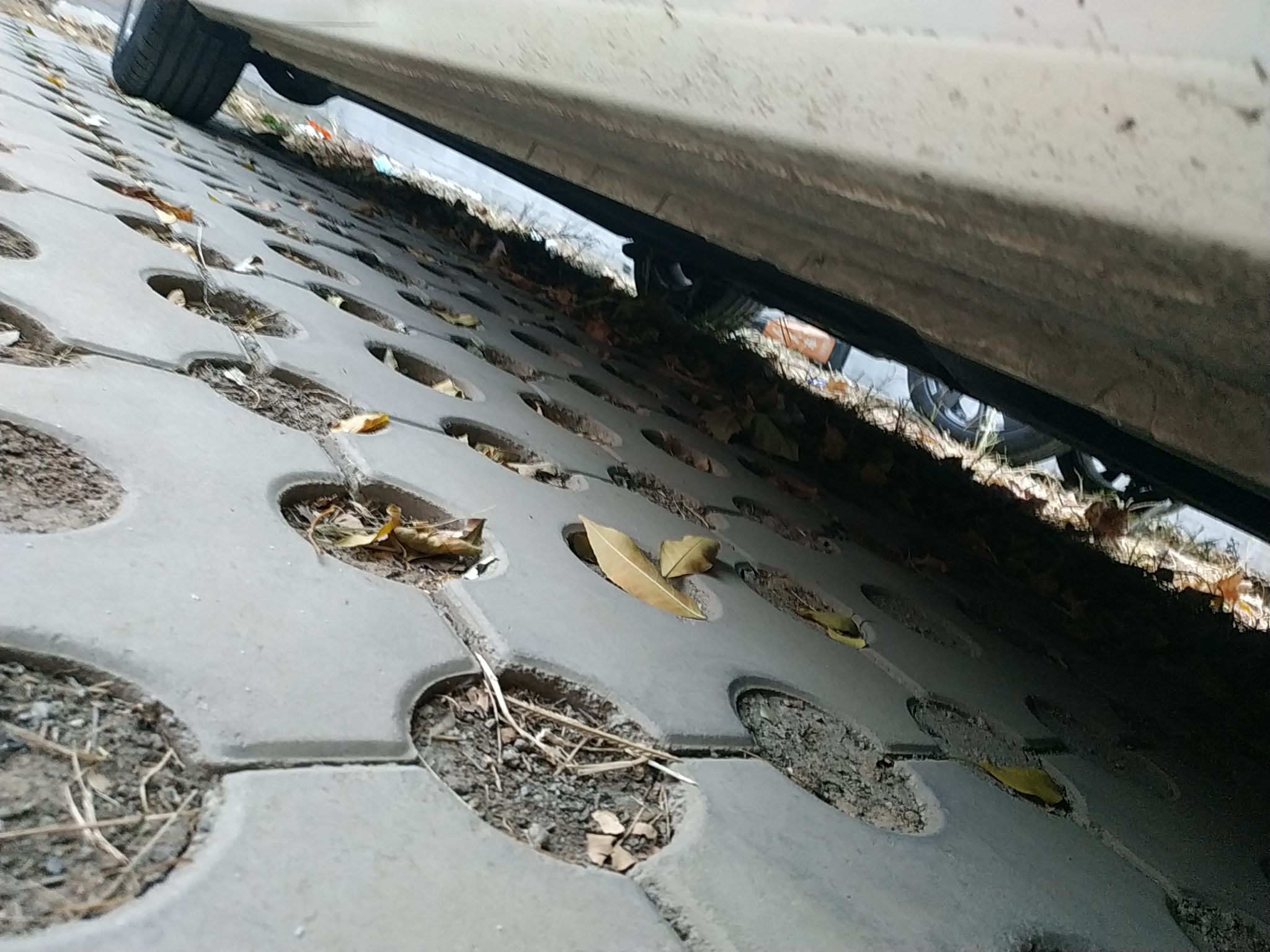 福特 福睿斯 2019款 改款 1.5L 自动质享型（胎压监测） 国VI