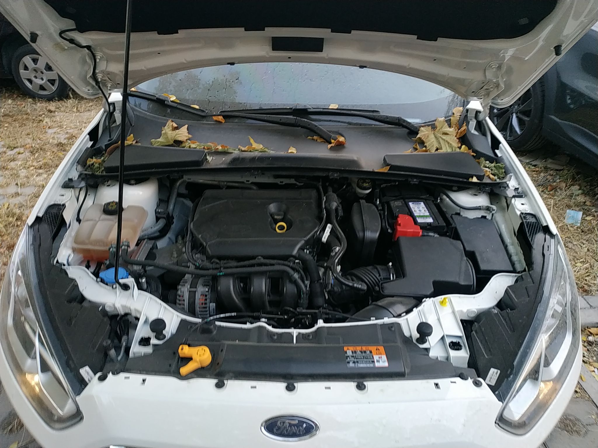 福特 福睿斯 2019款 改款 1.5L 自动质享型（胎压监测） 国VI