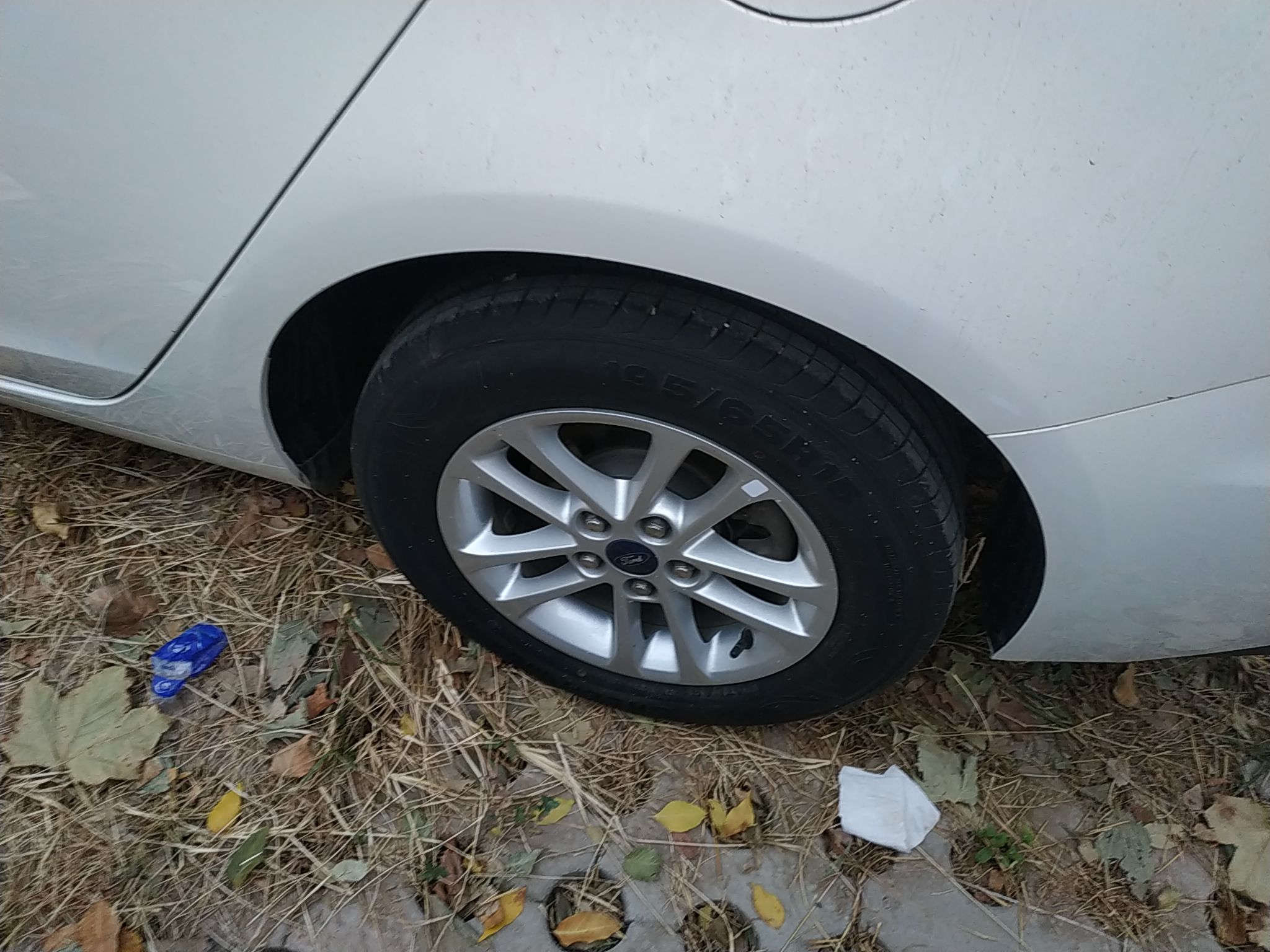 福特 福睿斯 2019款 改款 1.5L 自动质享型（胎压监测） 国VI