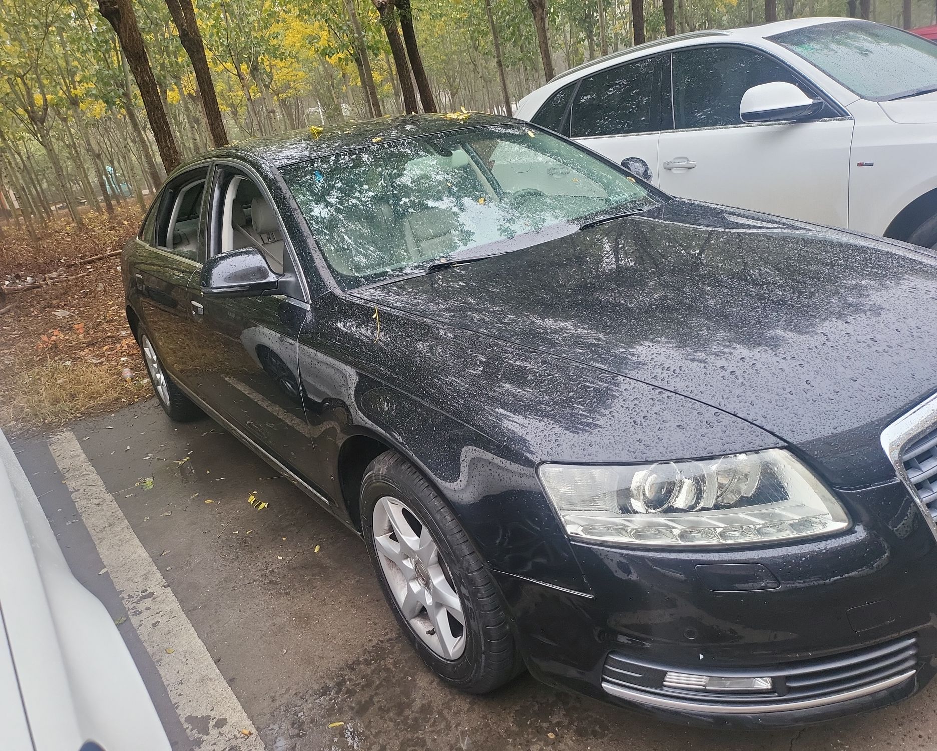 奥迪A6L 2011款 2.0 TFSI 自动舒适型