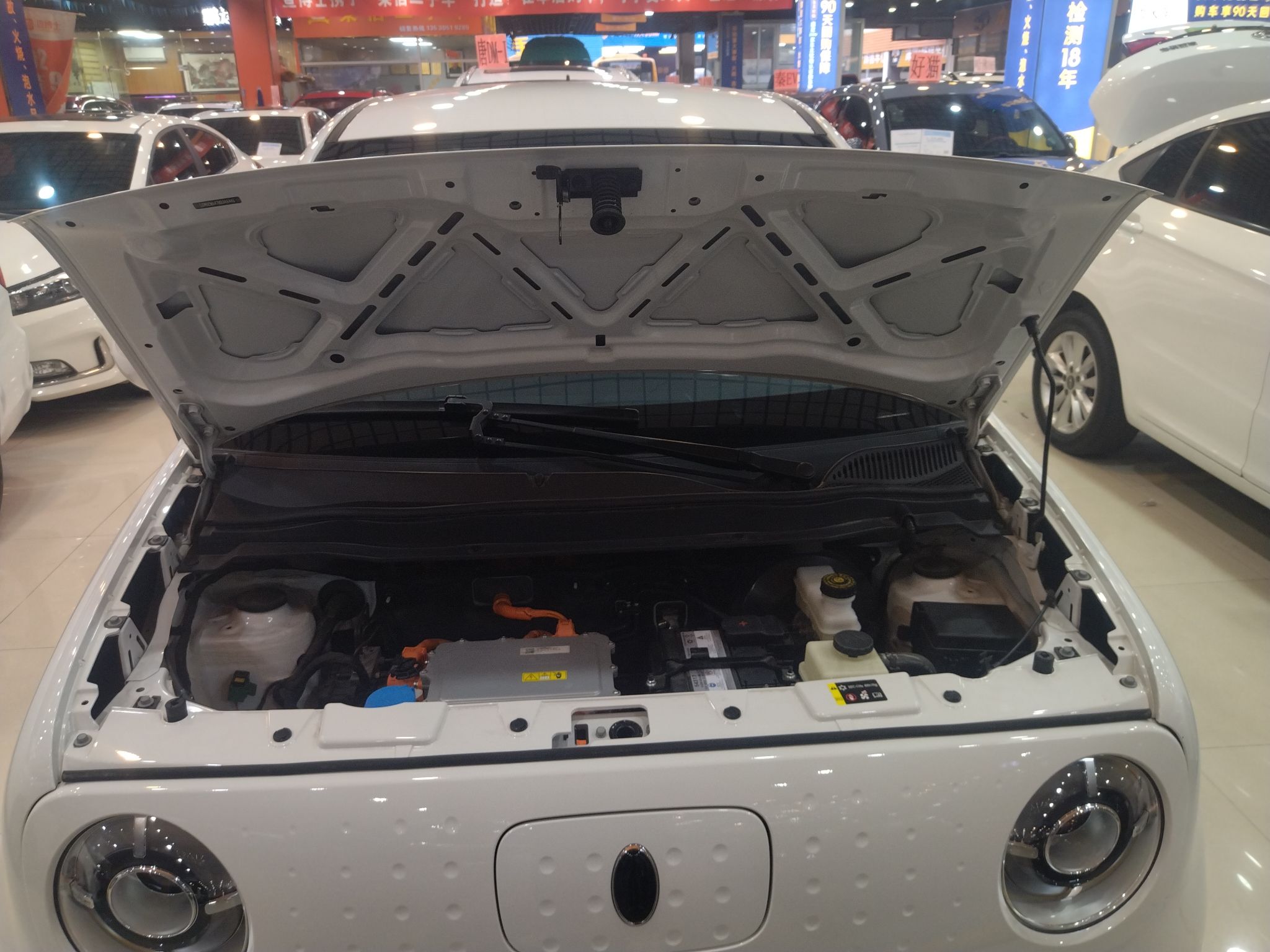 欧拉黑猫 2022款 301km 萌宠版