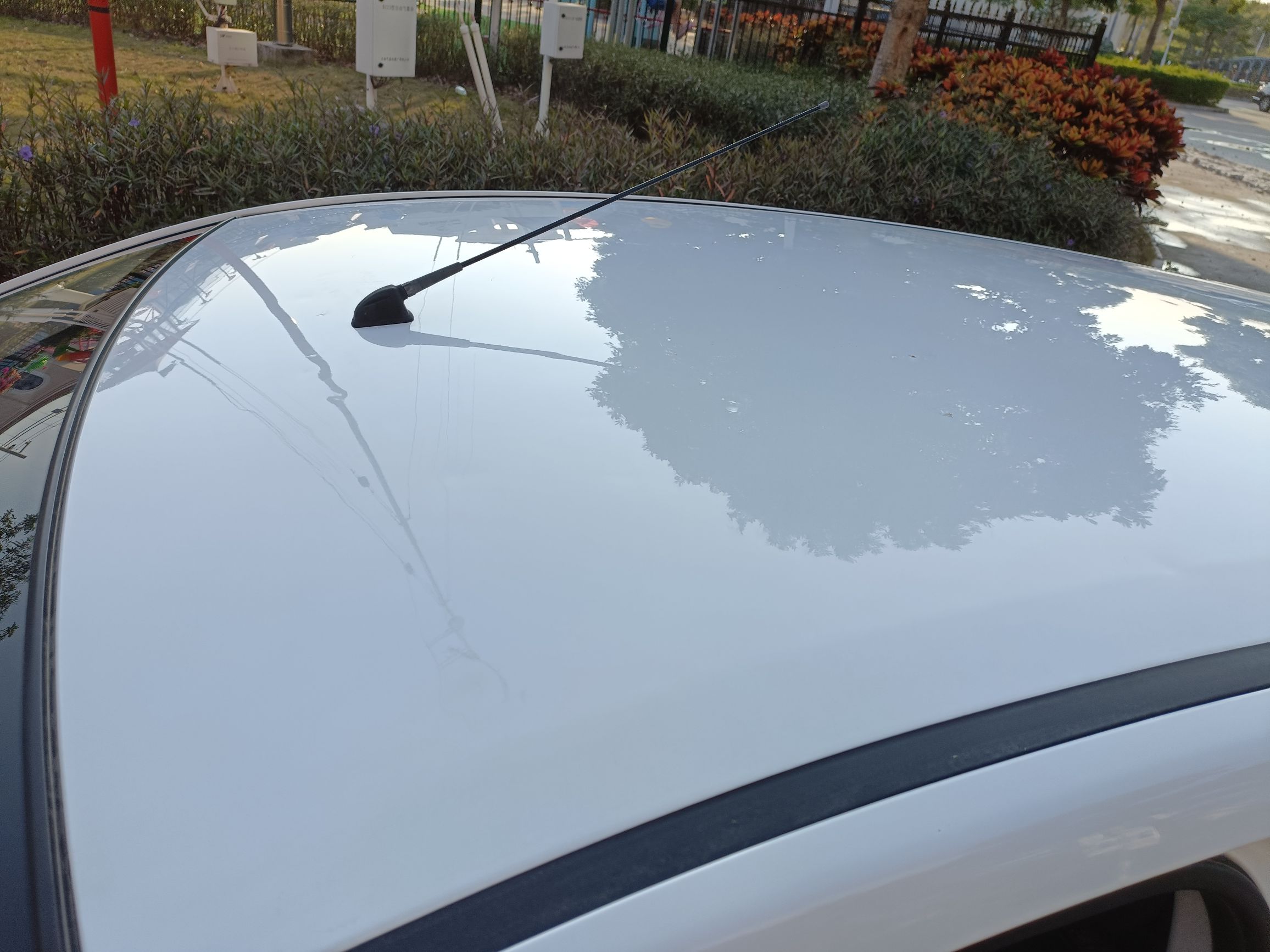 长安 奔奔EV 2019款 EV360 标准型