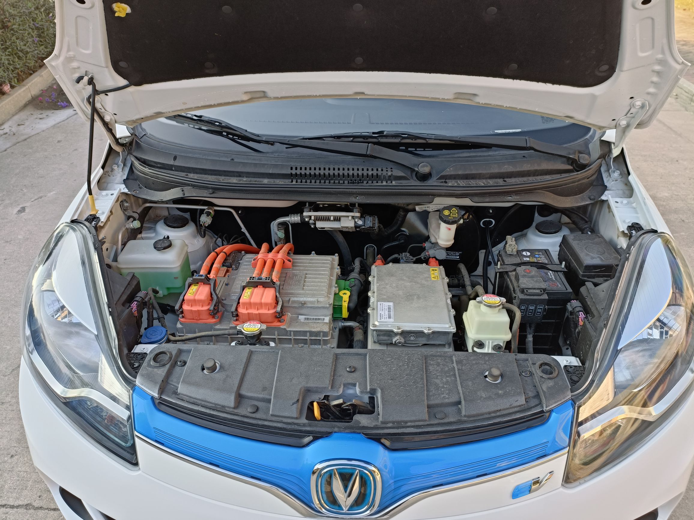 长安 奔奔EV 2019款 EV360 标准型