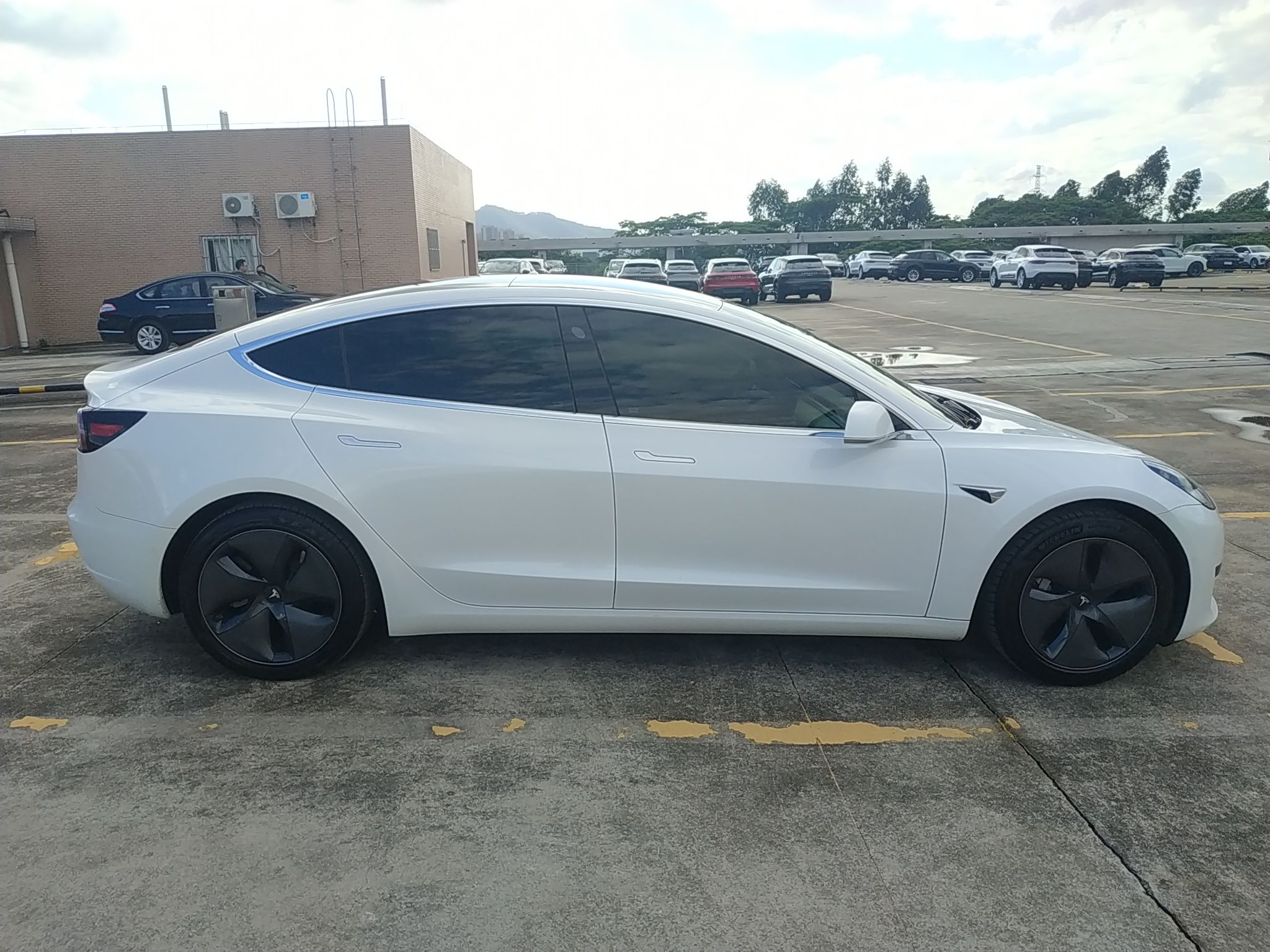 特斯拉 Model 3 2020款 标准续航后驱升级版