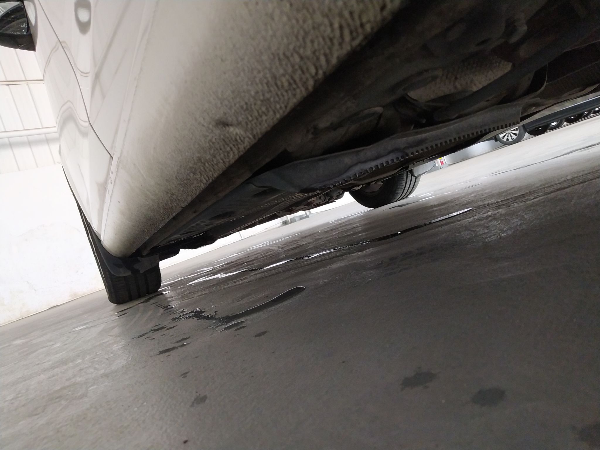 大众 高尔夫 2012款 1.4TSI 自动舒适型