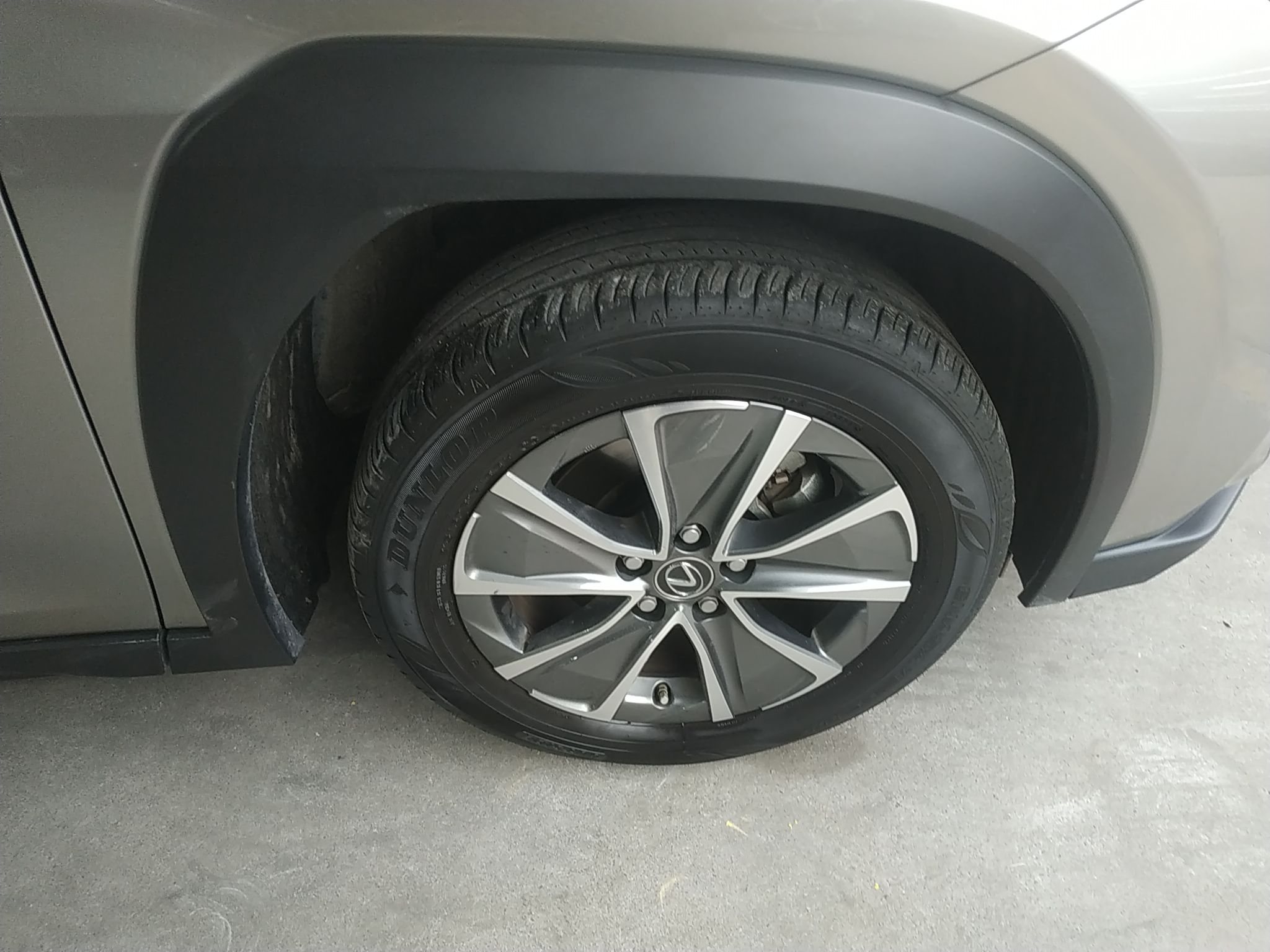 雷克萨斯UX新能源 2020款 300e 纯·享版