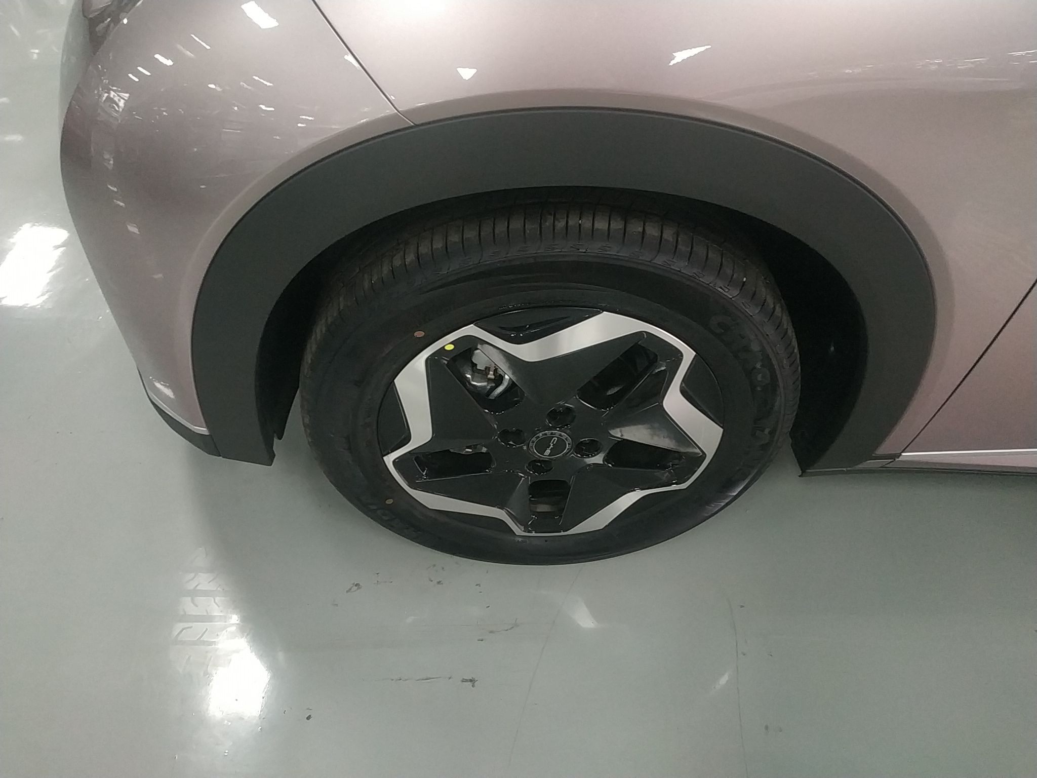 比亚迪 海豚 2021款 405km 时尚版