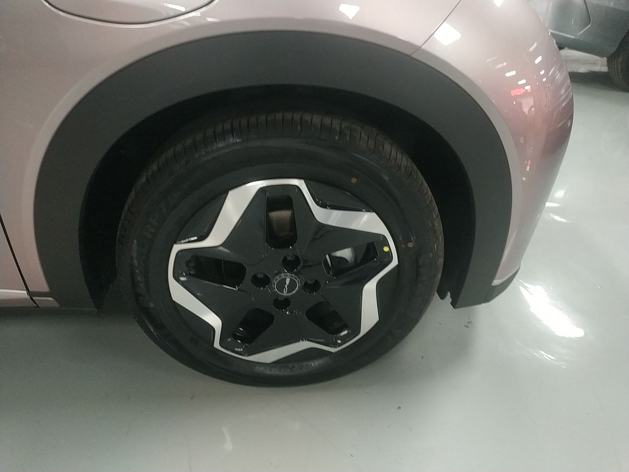 比亚迪 海豚 2021款 405km 时尚版