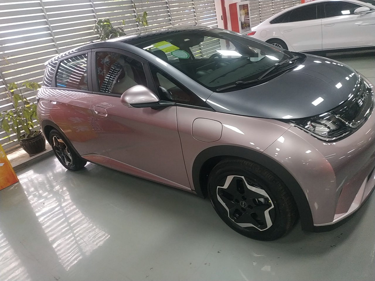 比亚迪 海豚 2021款 405km 时尚版