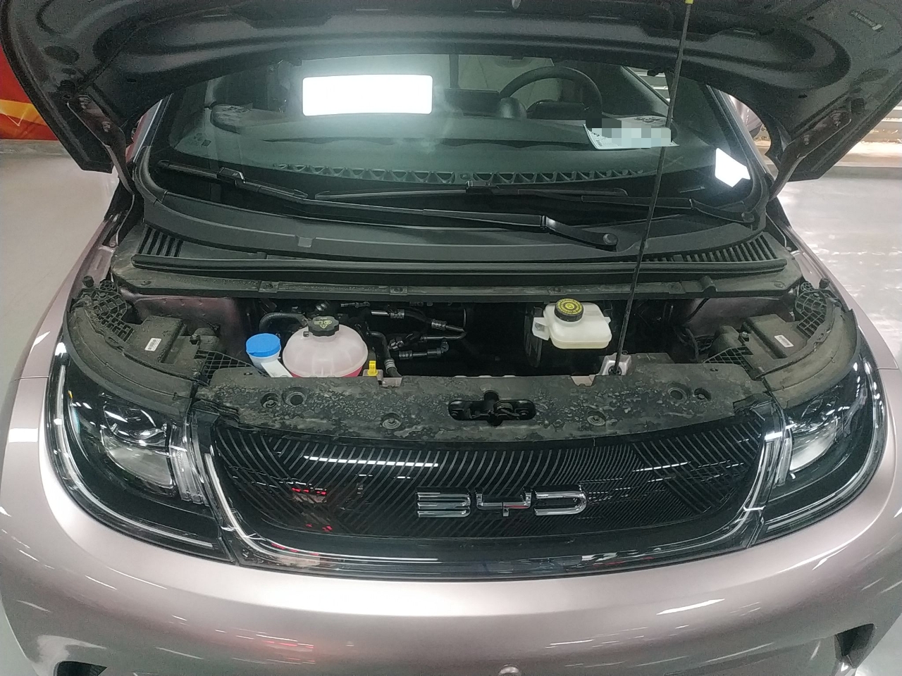 比亚迪 海豚 2021款 405km 时尚版