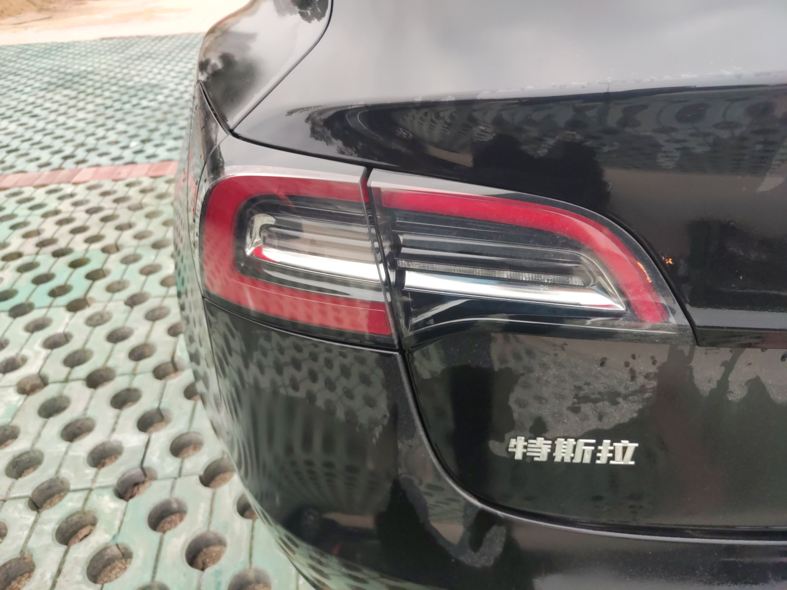 特斯拉 Model 3 2021款 改款 标准续航后驱升级版 3D1