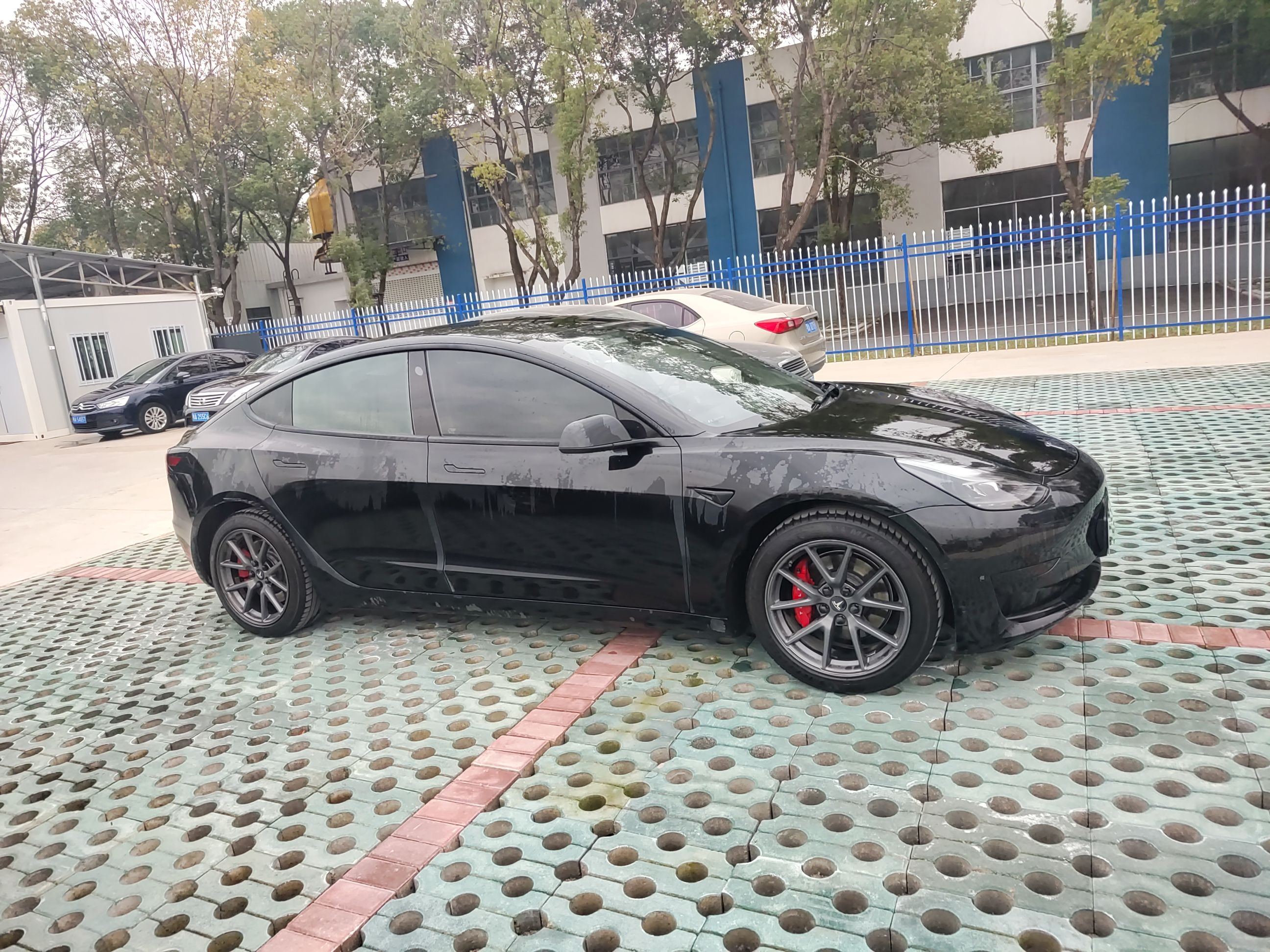 特斯拉 Model 3 2021款 改款 标准续航后驱升级版 3D1