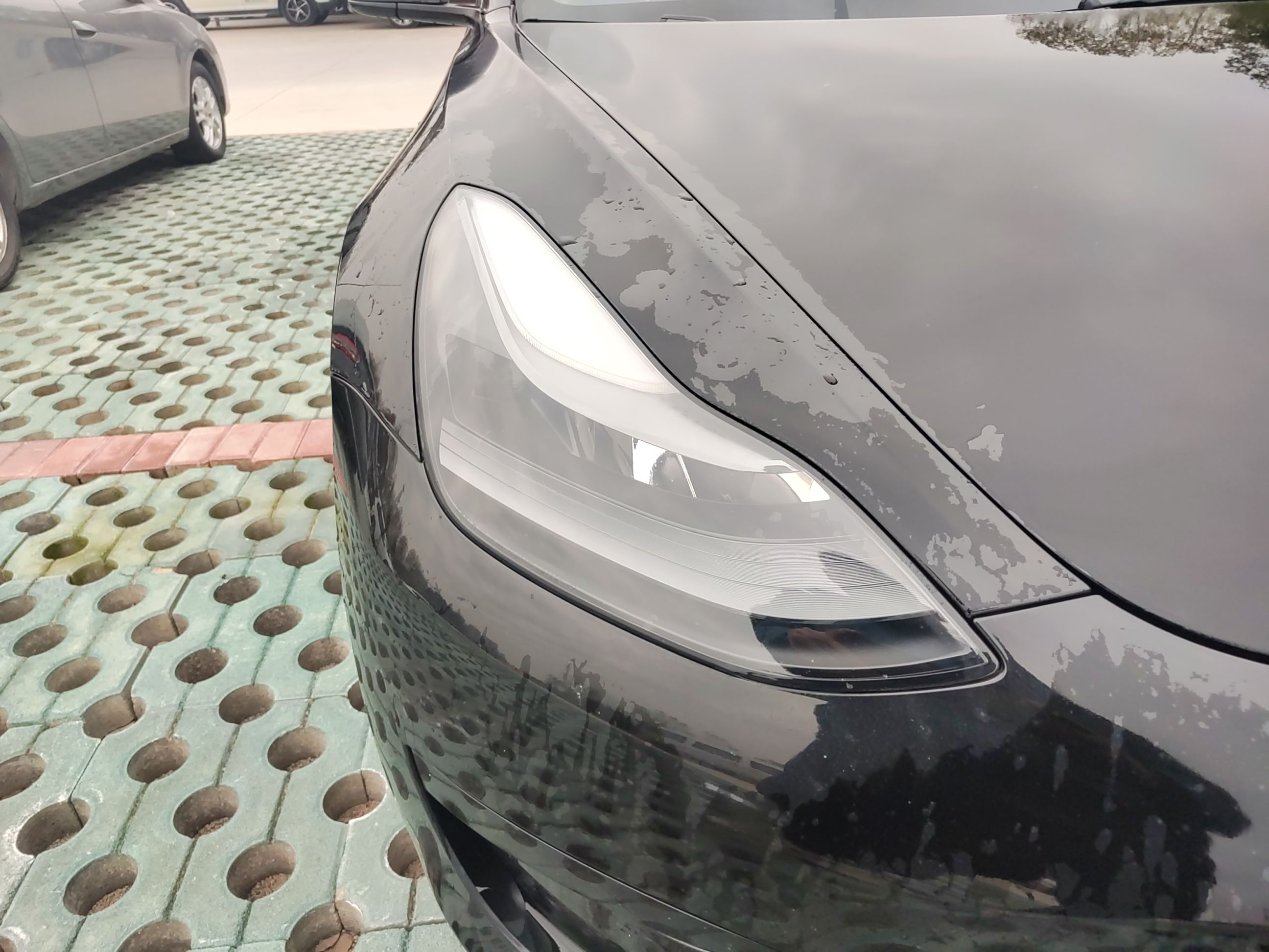 特斯拉 Model 3 2021款 改款 标准续航后驱升级版 3D1