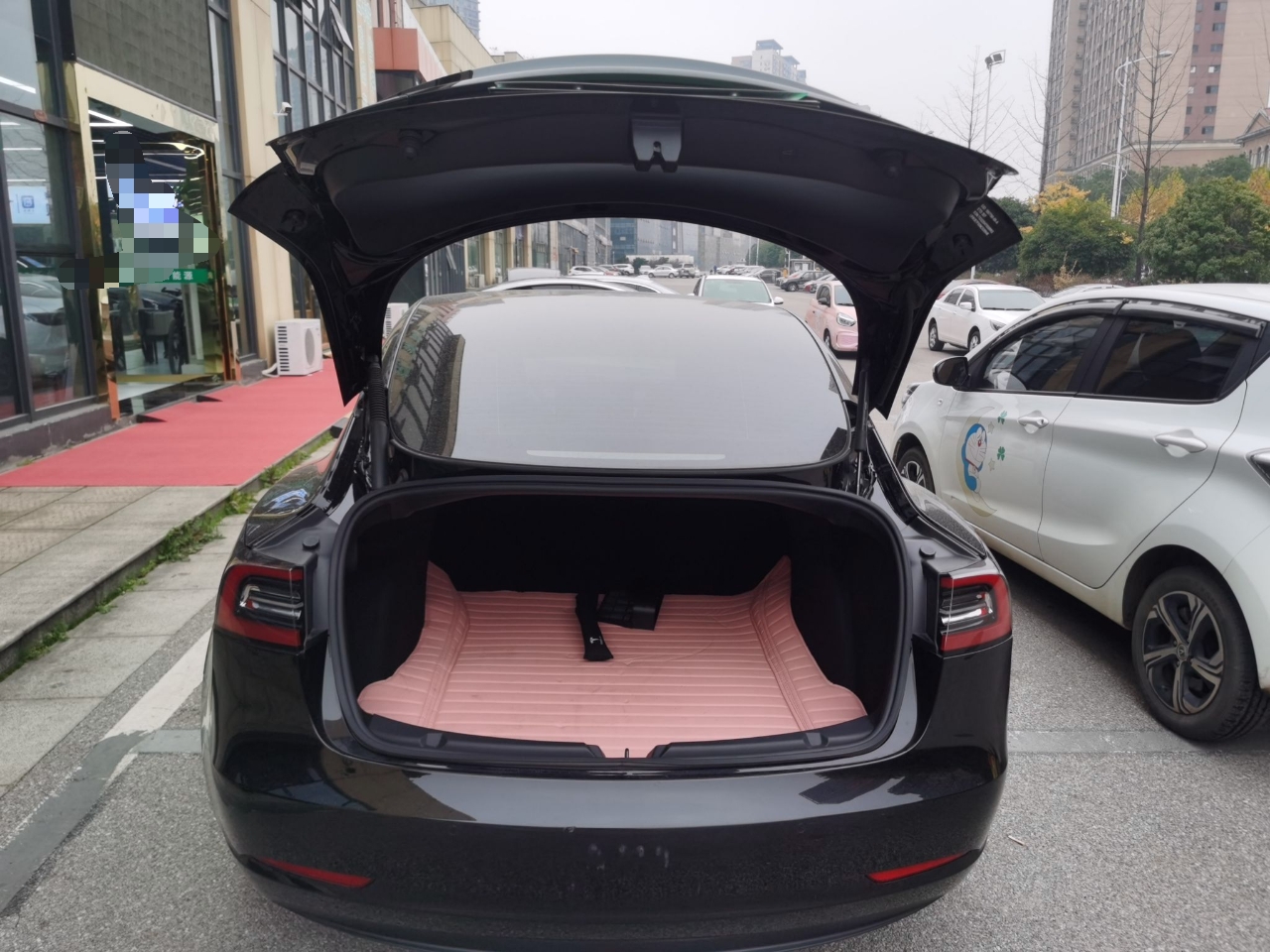 特斯拉 Model 3 2022款 后轮驱动版