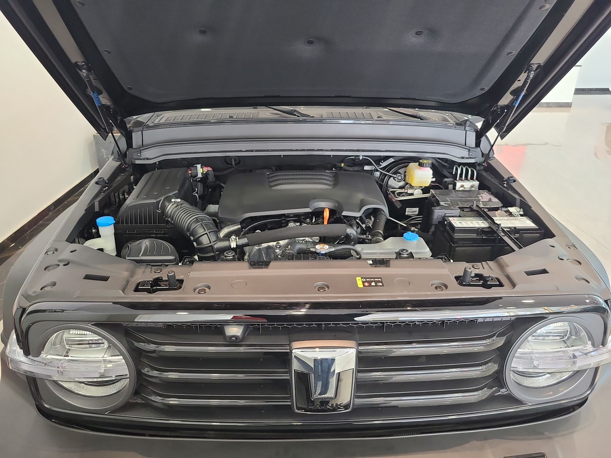 坦克300 2023款 越野版 2.0T 征服者