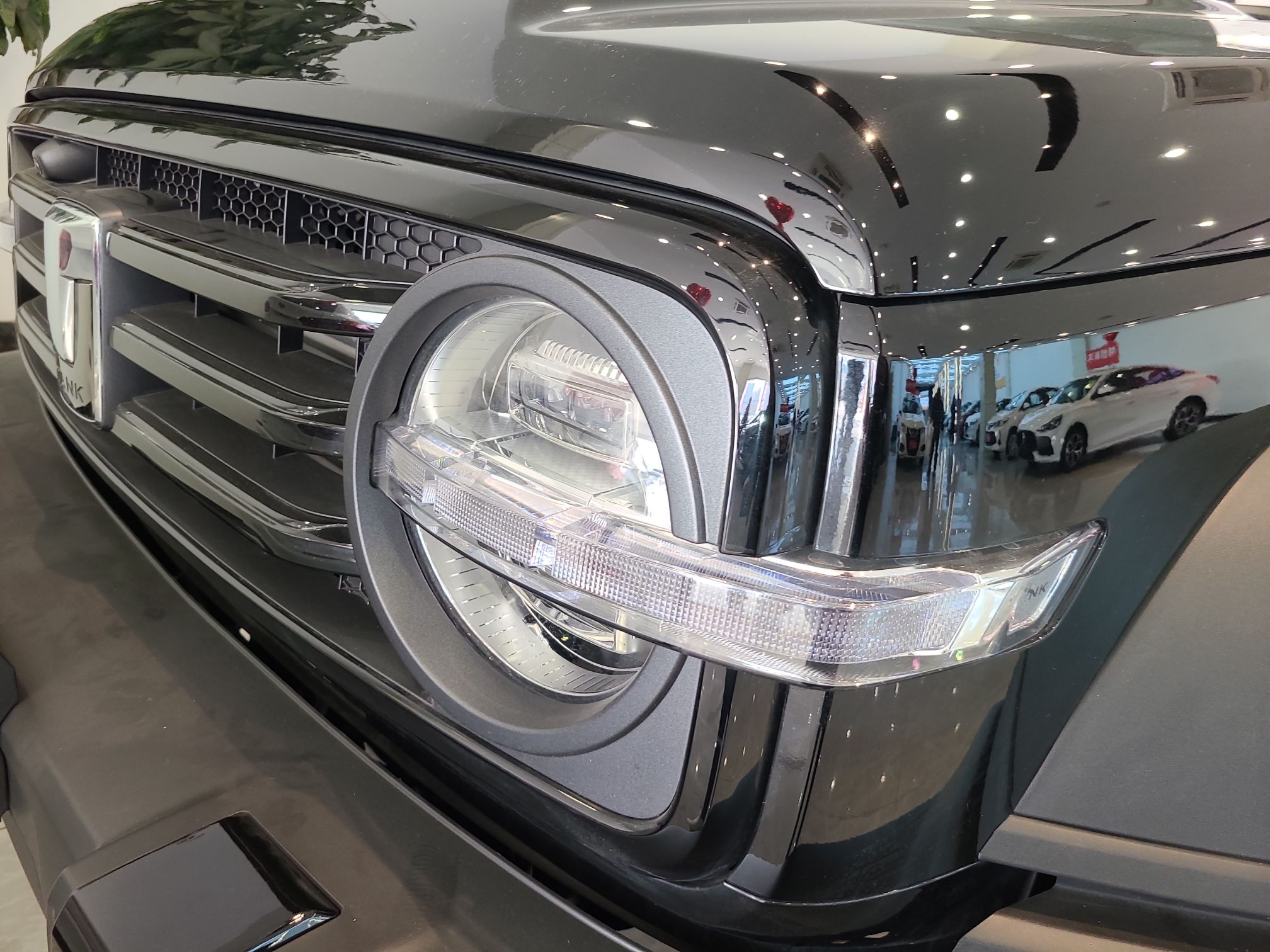 坦克300 2023款 越野版 2.0T 征服者