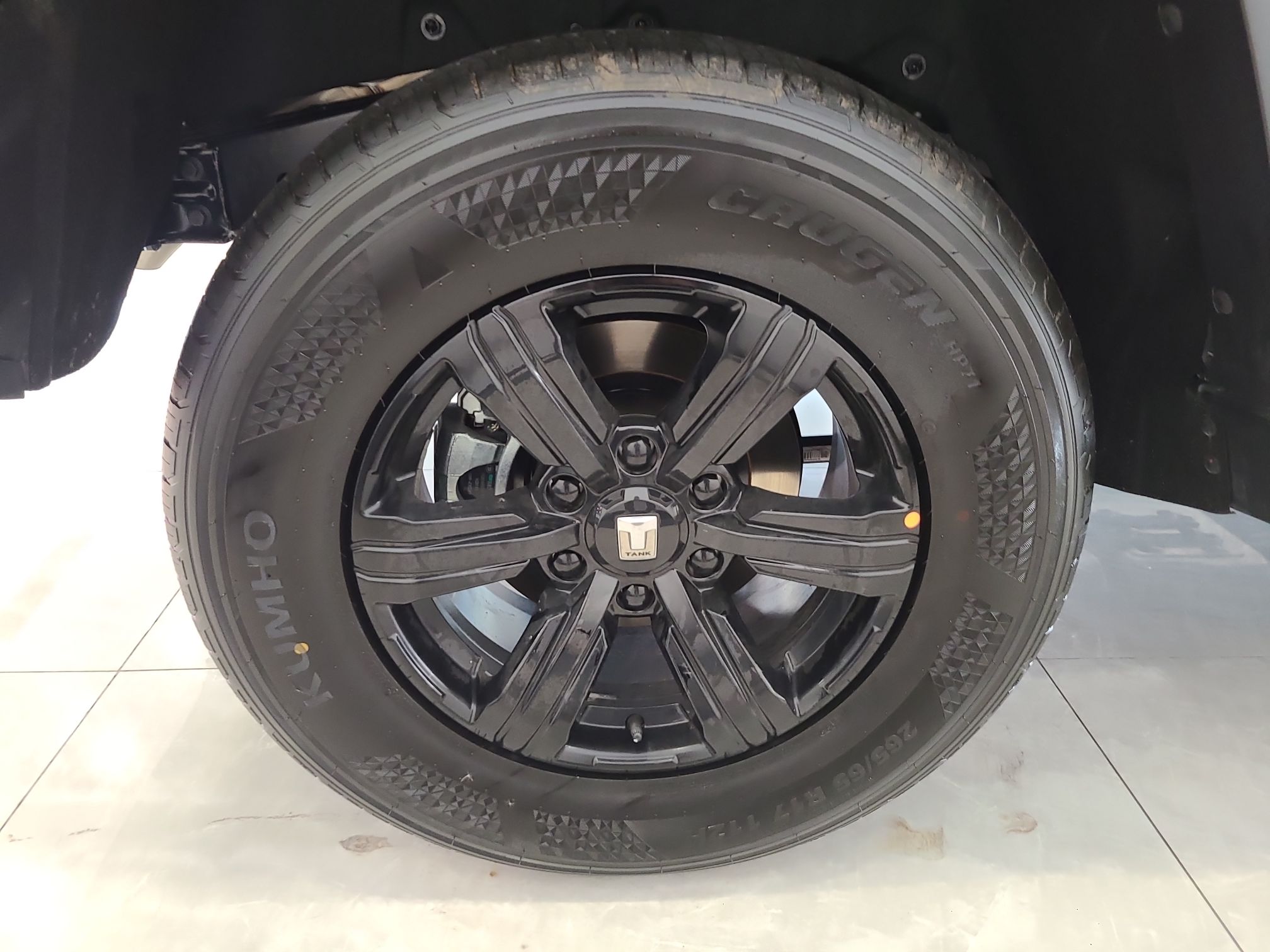 坦克300 2023款 越野版 2.0T 征服者