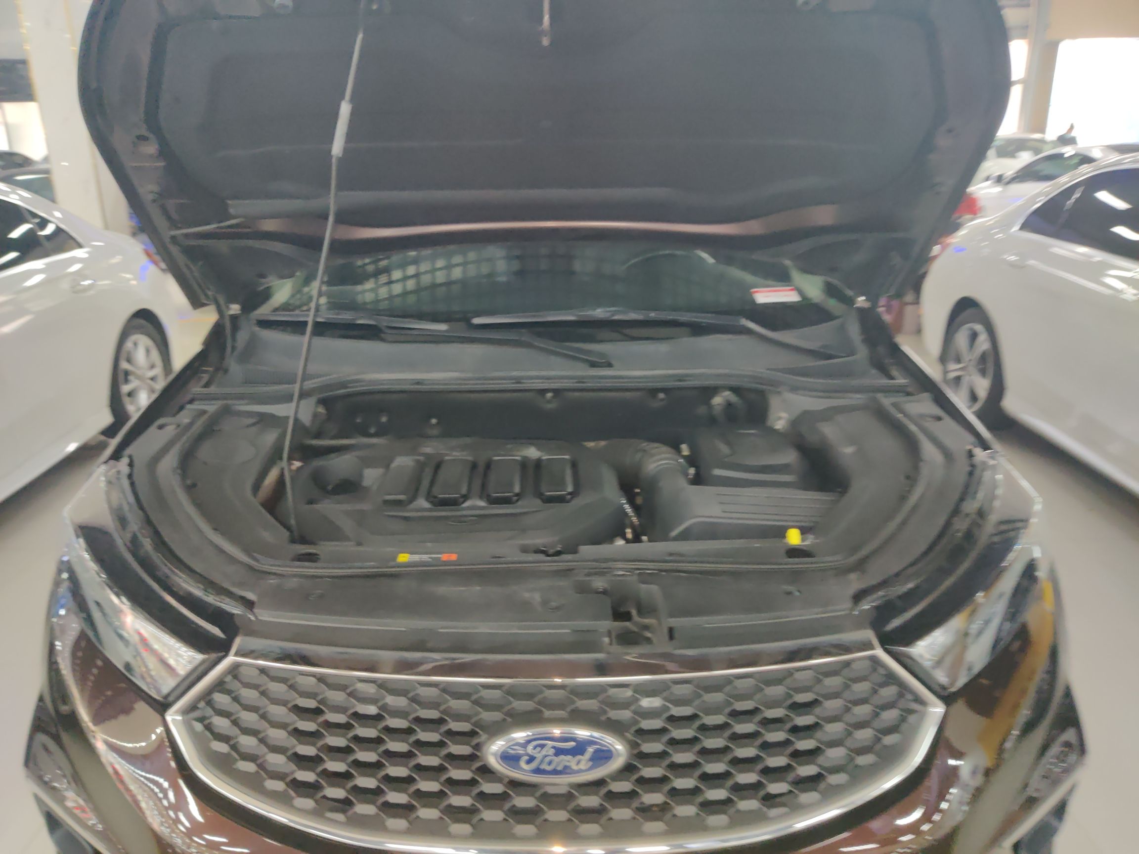 福特 领界 2019款 EcoBoost 145 CVT铂领型 国V