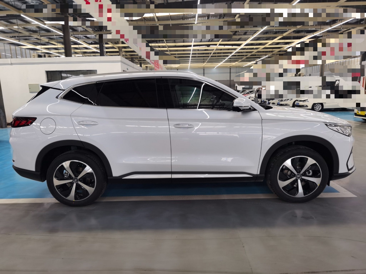 比亚迪 宋PLUS新能源 2021款 EV 尊贵型