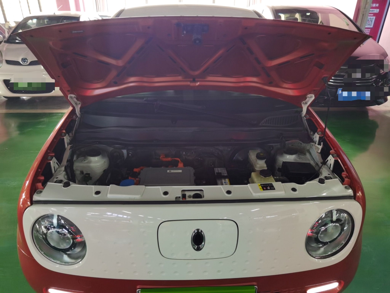 欧拉黑猫 2021款 351km 豪华型