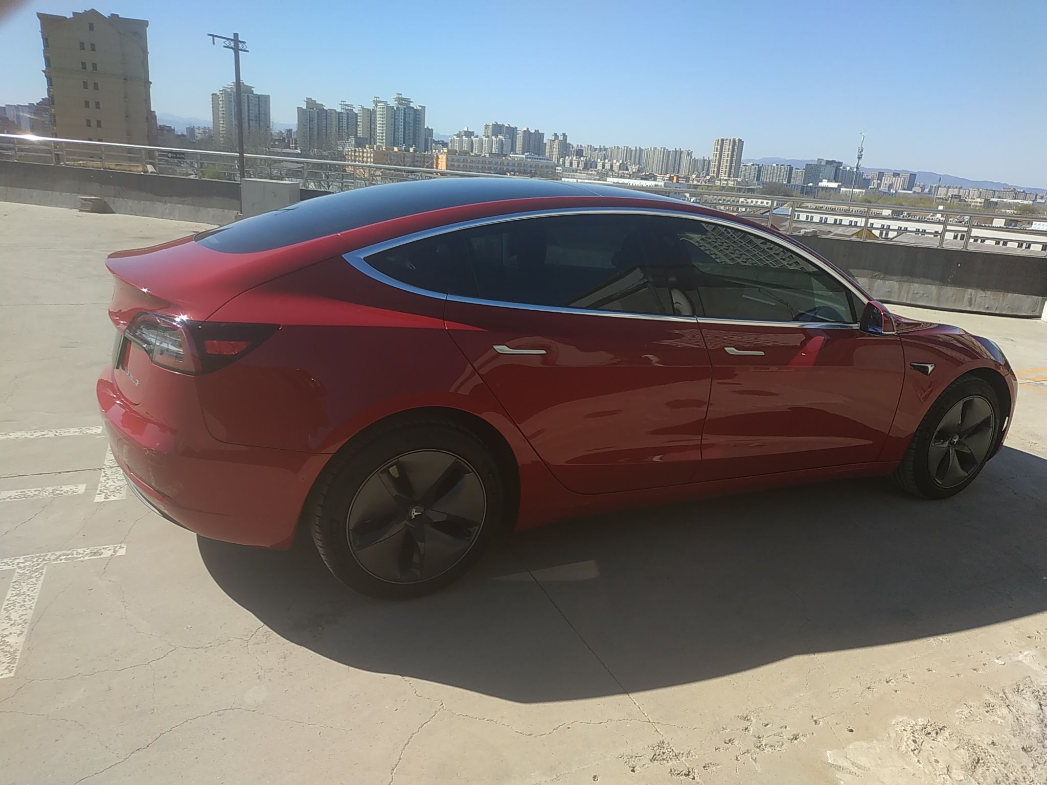 特斯拉 Model 3 2019款 标准续航后驱升级版